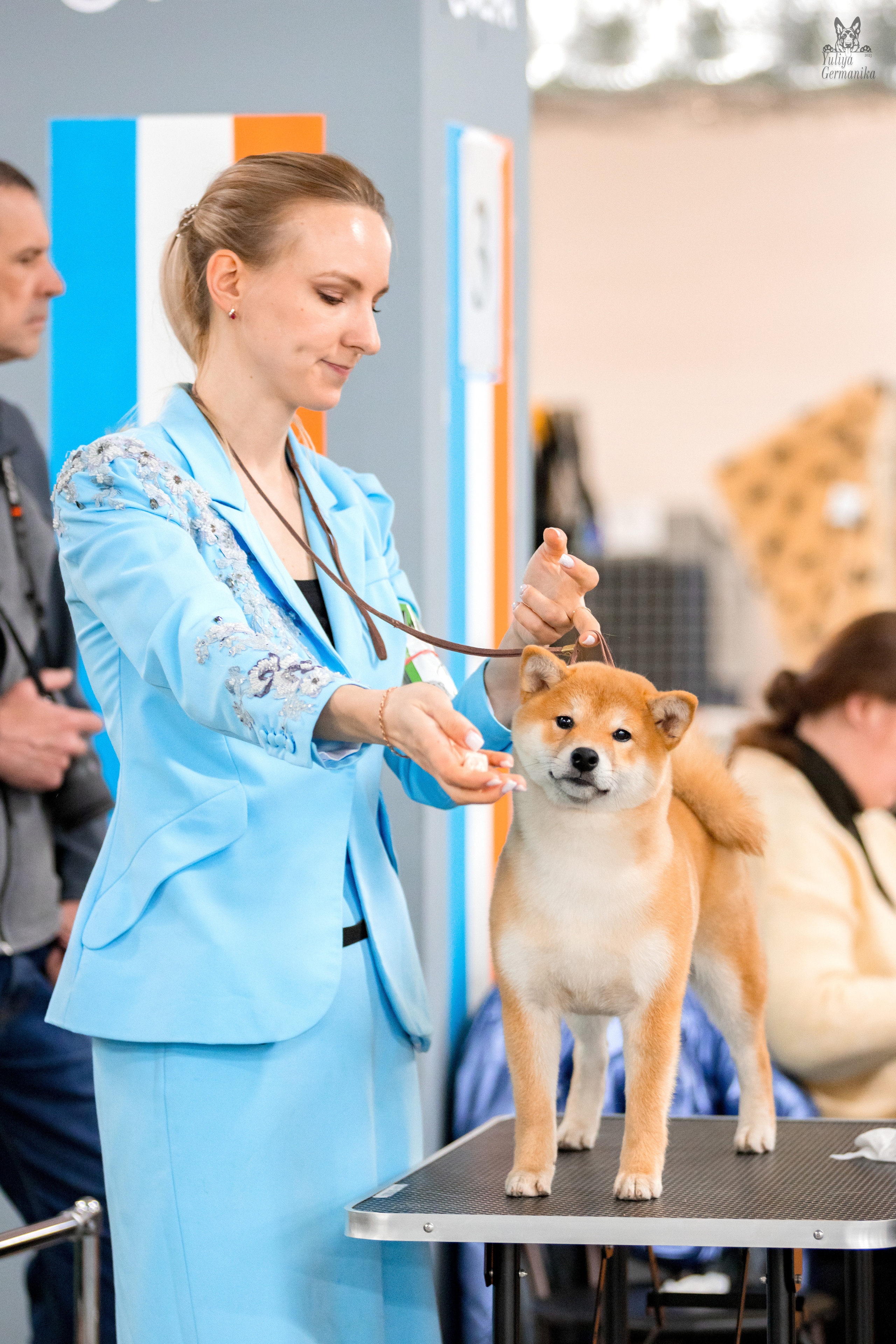 Сфера 25-26.03.2023. Фотограф-анималист Юлия Германика