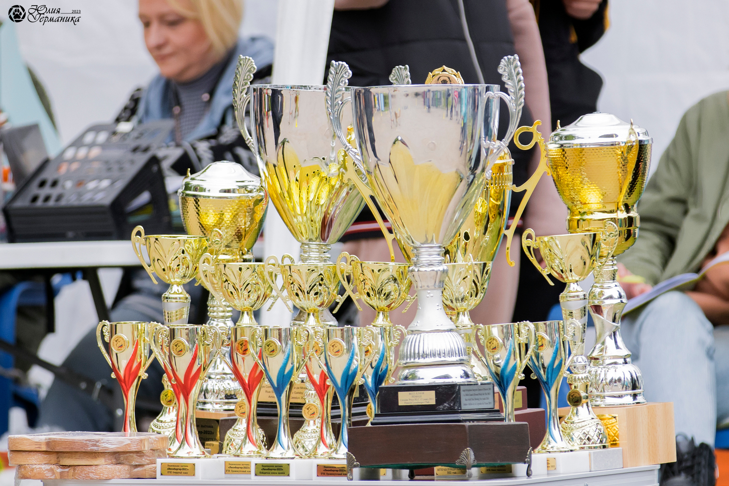 Националка Леонбергеров 28.05.2023. Фотограф-анималист Юлия Германика