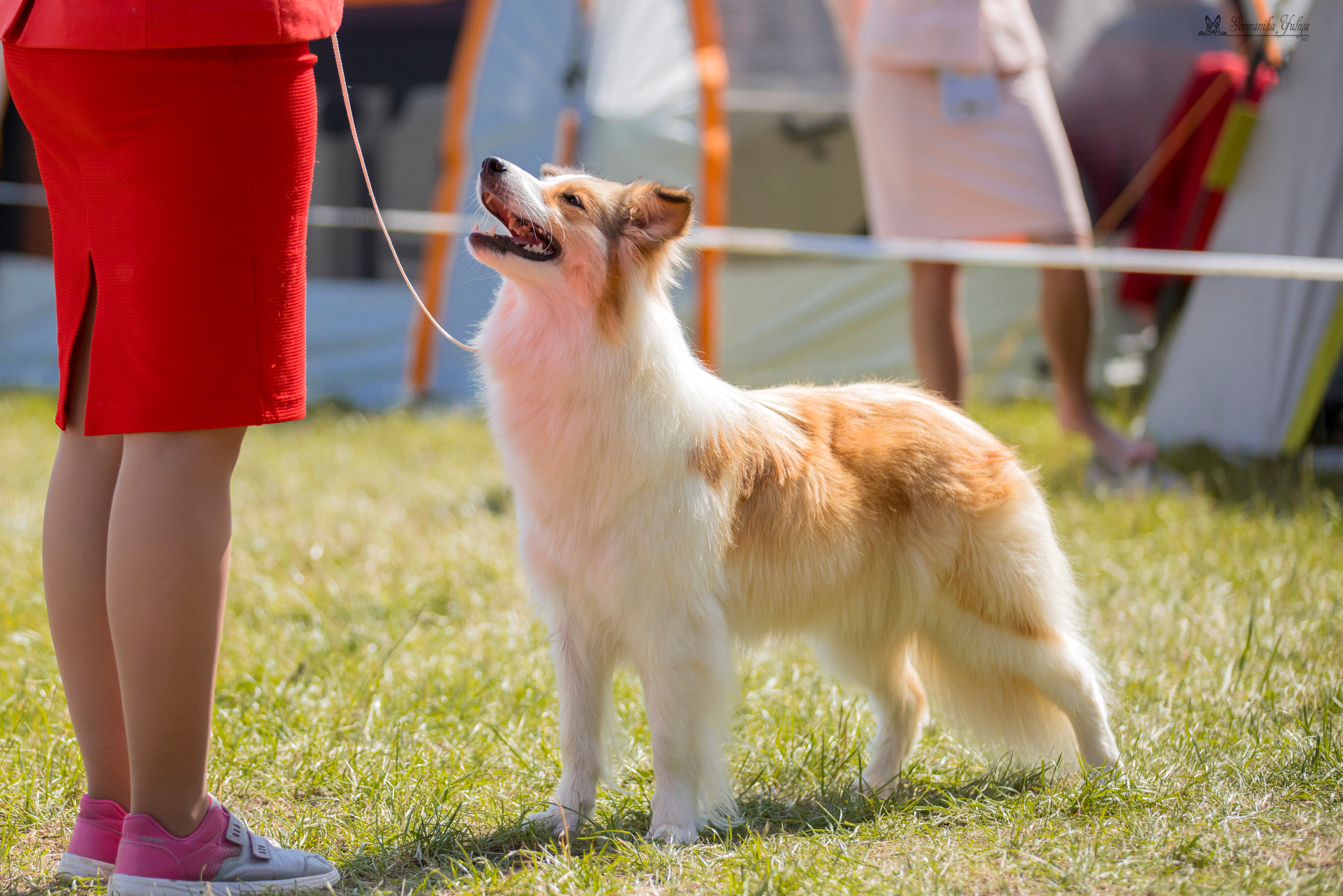 Волжанка 8.07.2023. Фотограф-анималист Юлия Германика