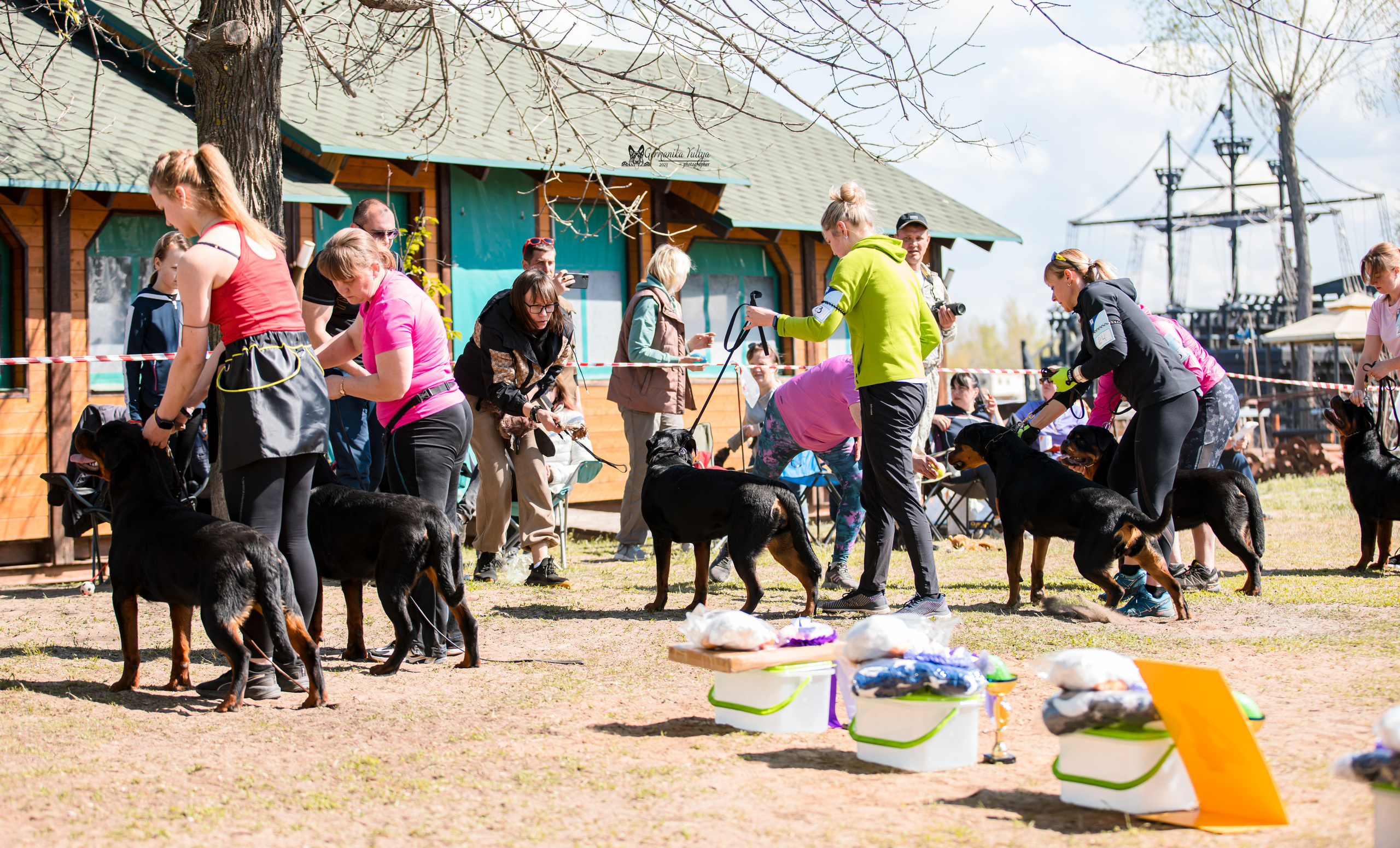 Саратов 2хмоно ротвейлеров 22-23.04.2023. Фотограф-анималист Юлия Германика