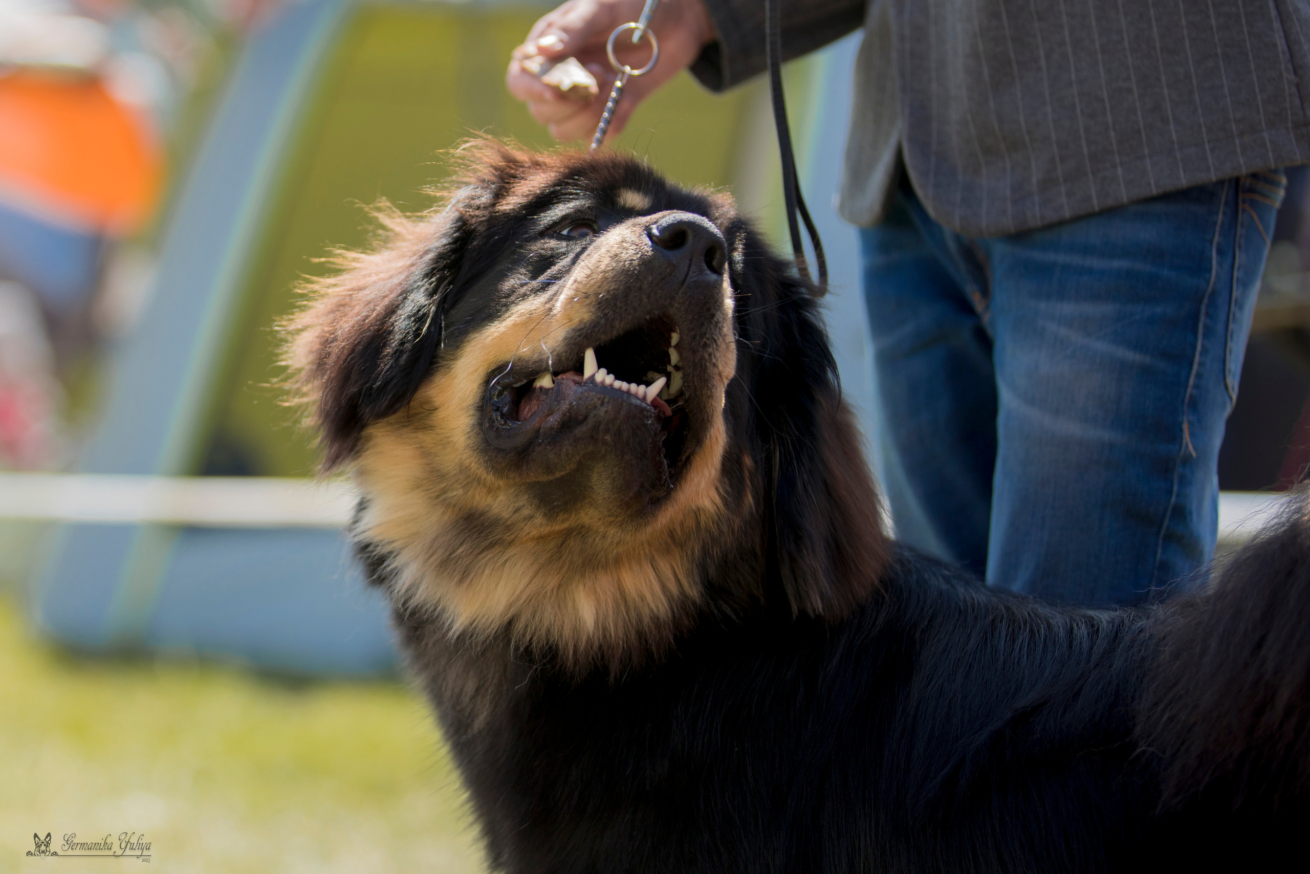 Волжанка 8.07.2023. Фотограф-анималист Юлия Германика