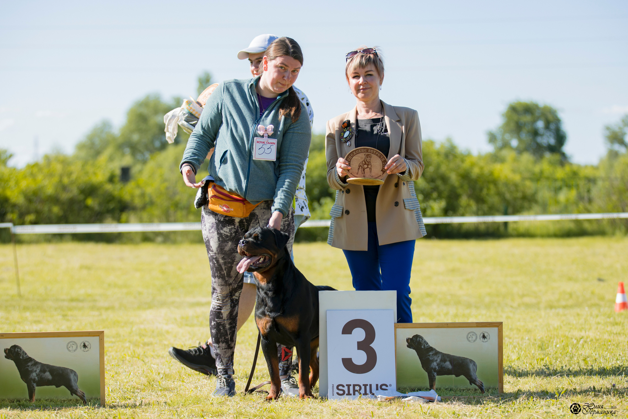 Воронеж 2хмоно ротвейлеров 3-4.06.2023. Фотограф-анималист Юлия Германика