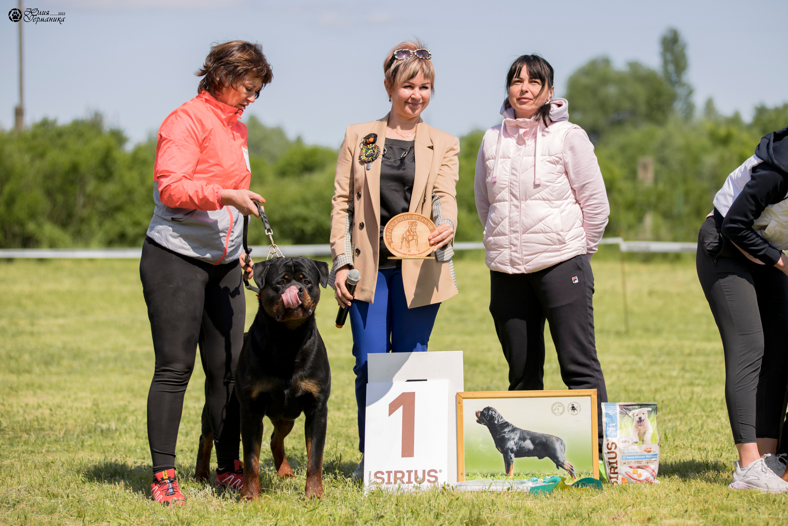 Воронеж 2хмоно ротвейлеров 3-4.06.2023. Фотограф-анималист Юлия Германика