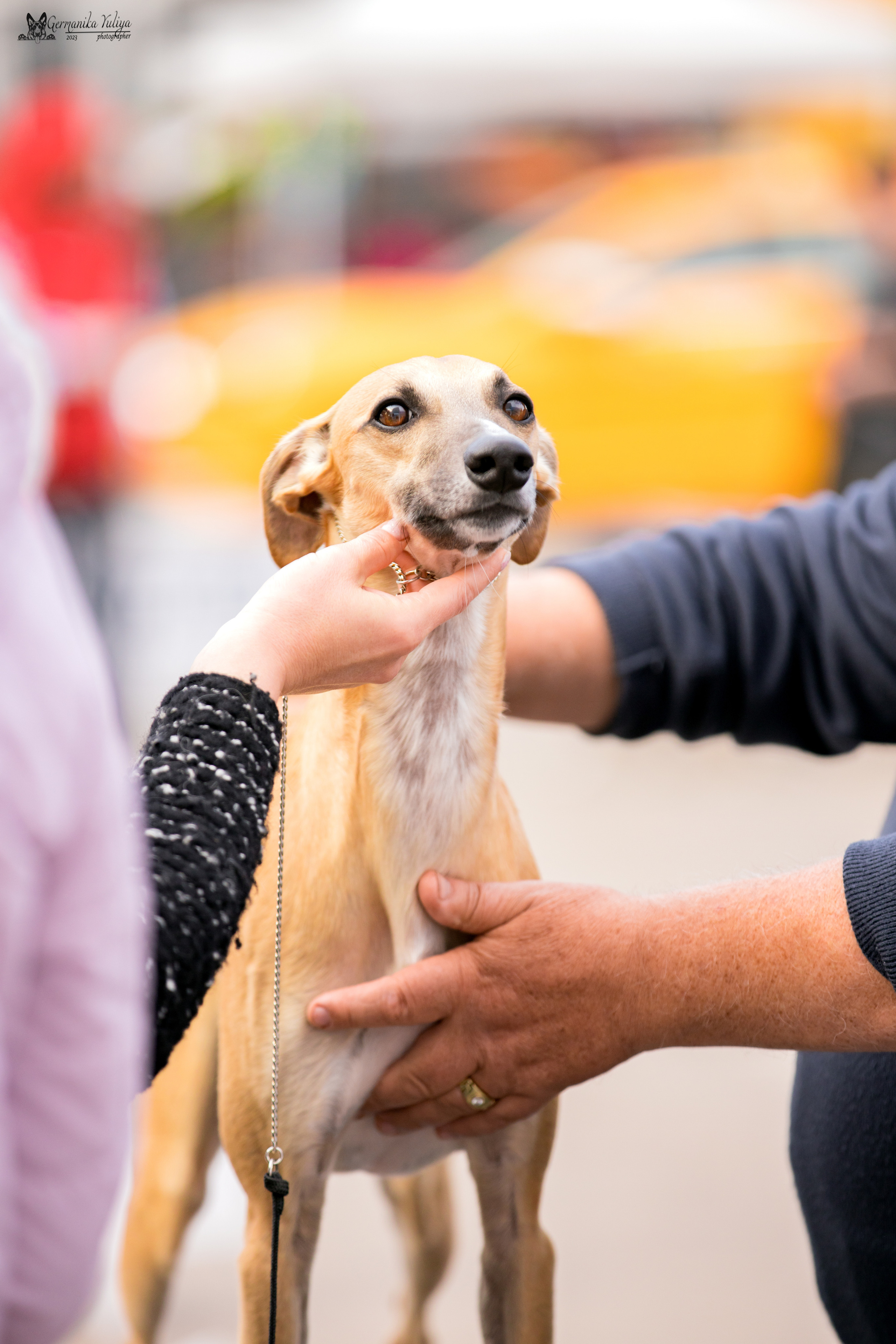 Измайлово 21.05.2023. Фотограф-анималист Юлия Германика