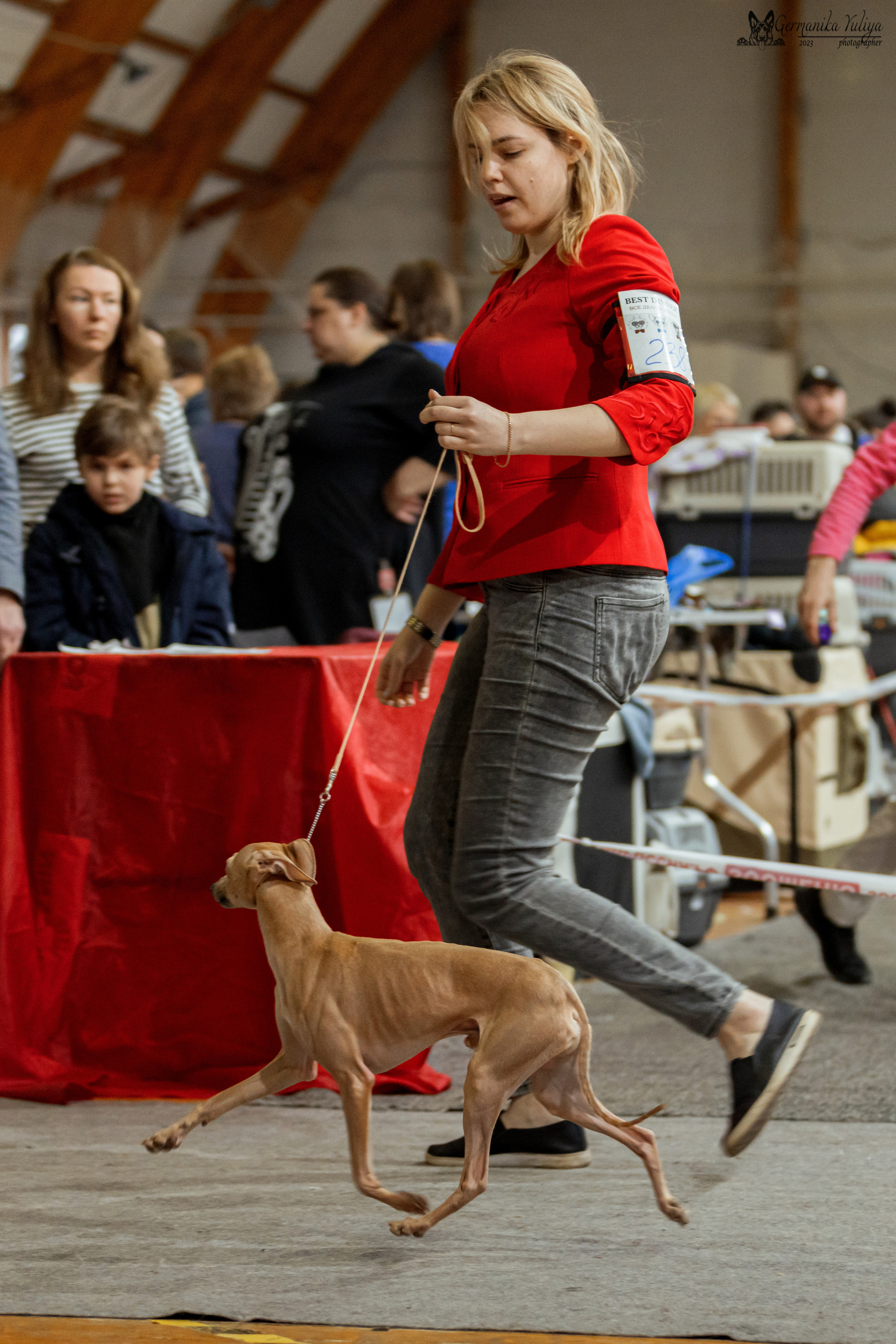 Тверь 01.04.2023. Фотограф-анималист Юлия Германика