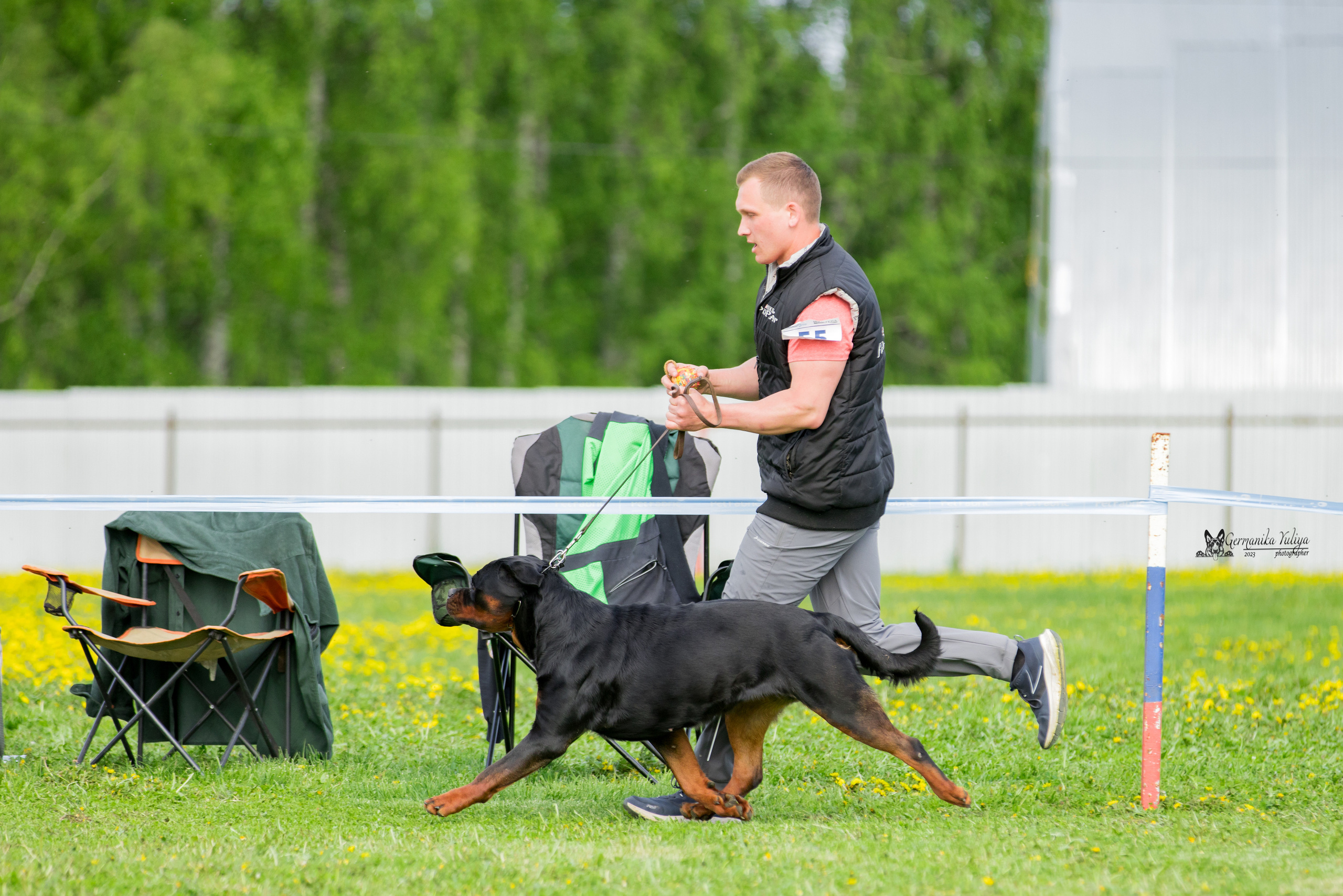 Нижний Новгород моно ротвейлеров 13.05.2023. Фотограф-анималист Юлия Германика