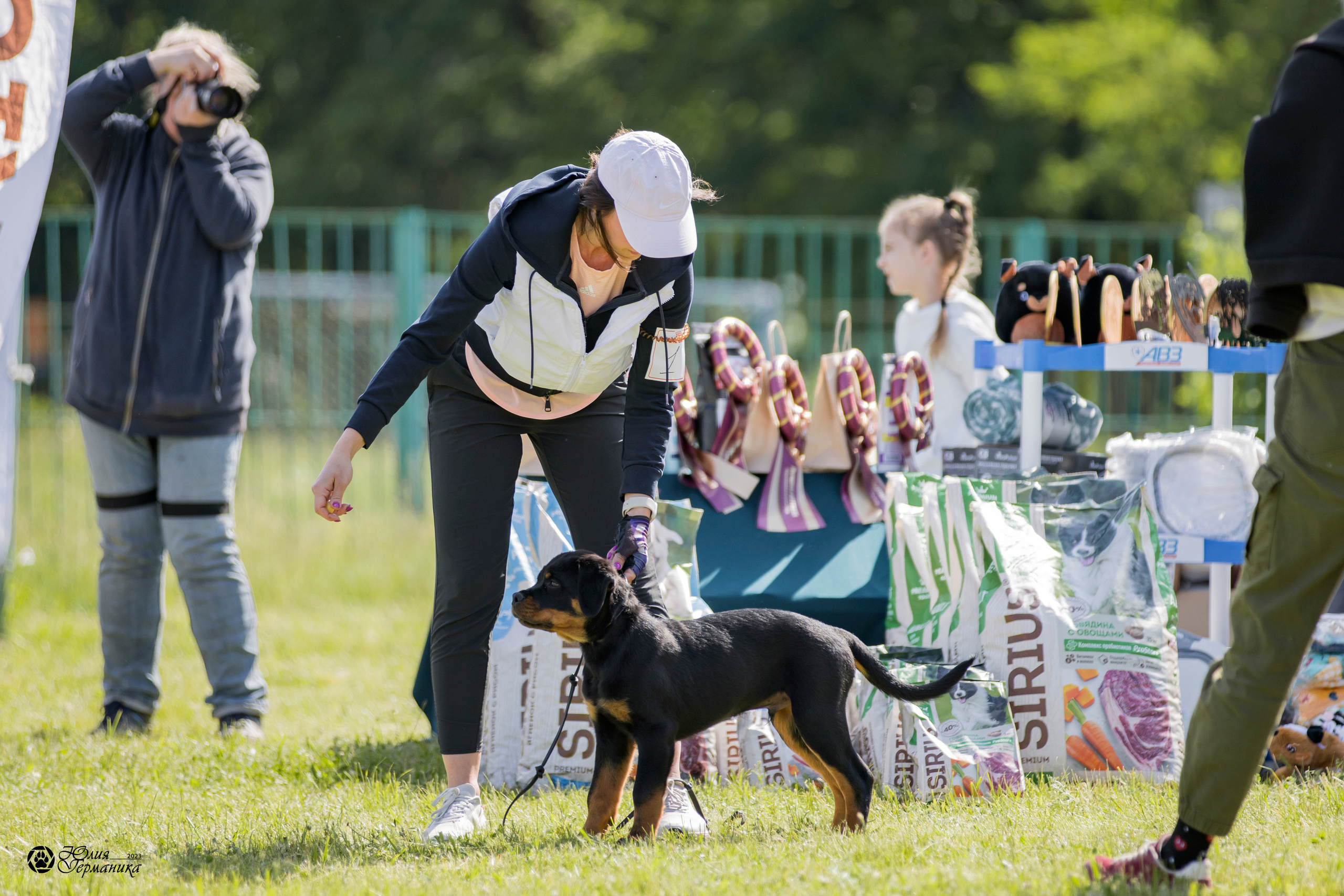 Воронеж 2хмоно ротвейлеров 3-4.06.2023. Фотограф-анималист Юлия Германика