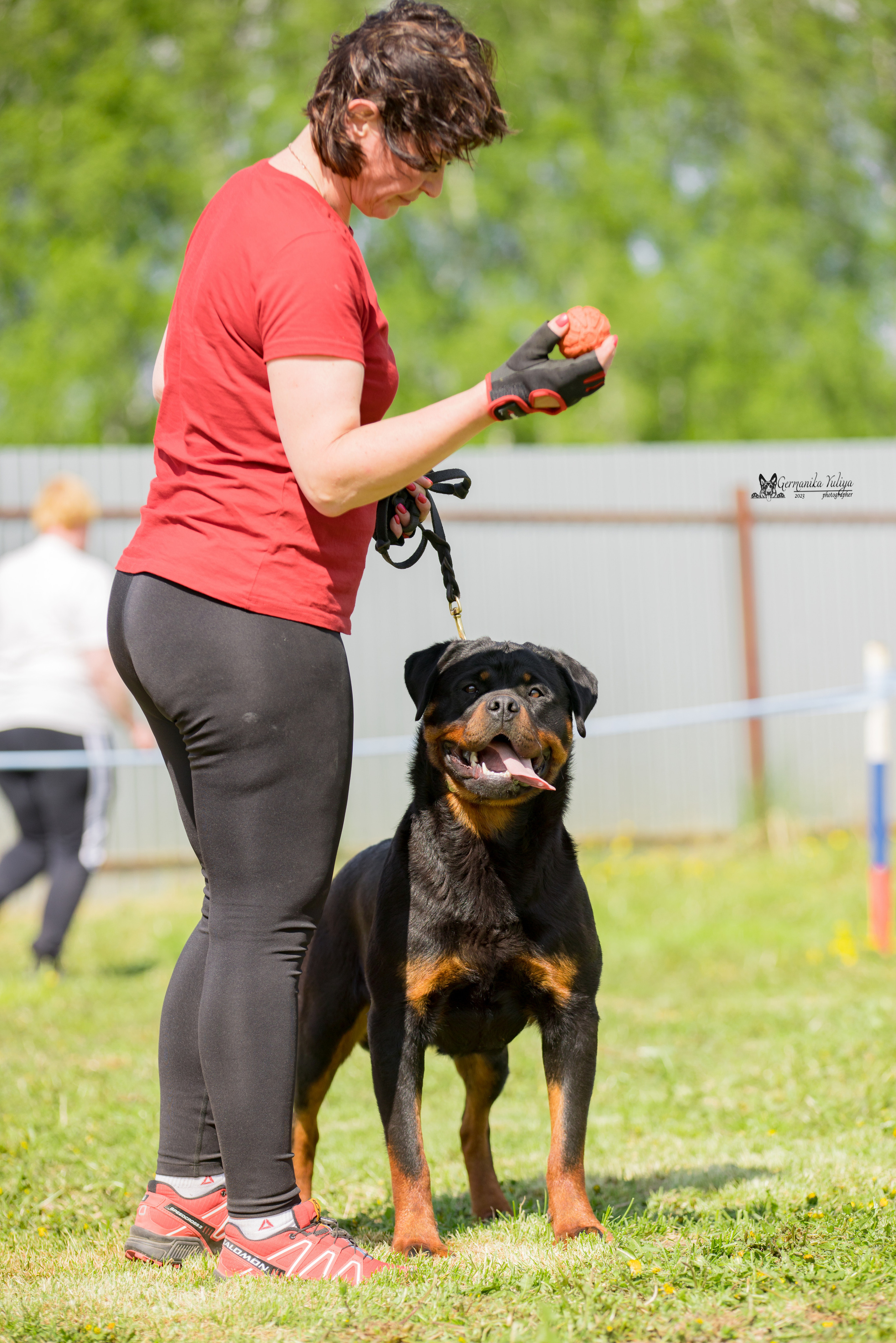 Нижний Новгород моно ротвейлеров 13.05.2023. Фотограф-анималист Юлия Германика