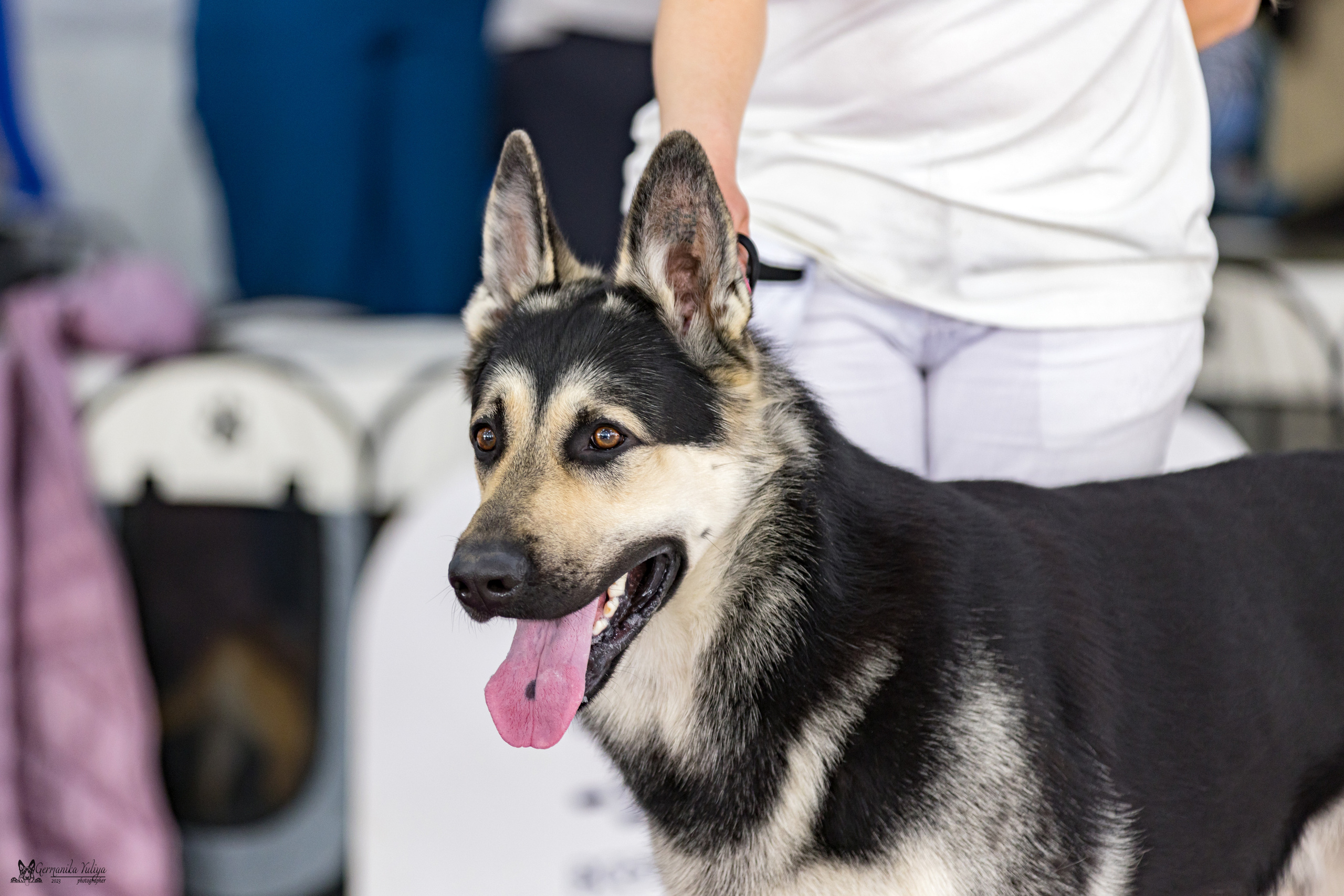 МД 15.04.2023. Фотограф-анималист Юлия Германика