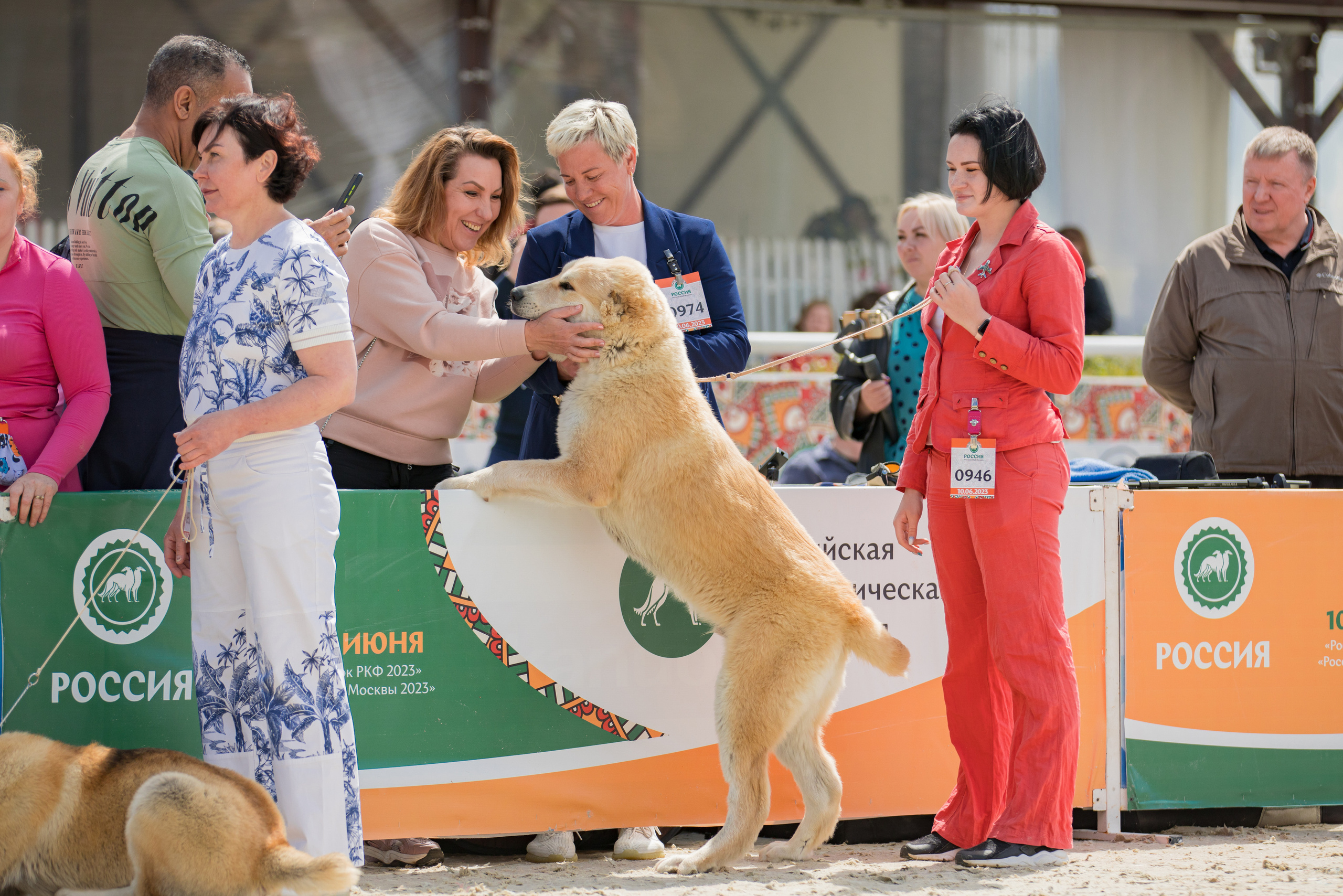 Россия 10-11.06.2023. Фотограф-анималист Юлия Германика