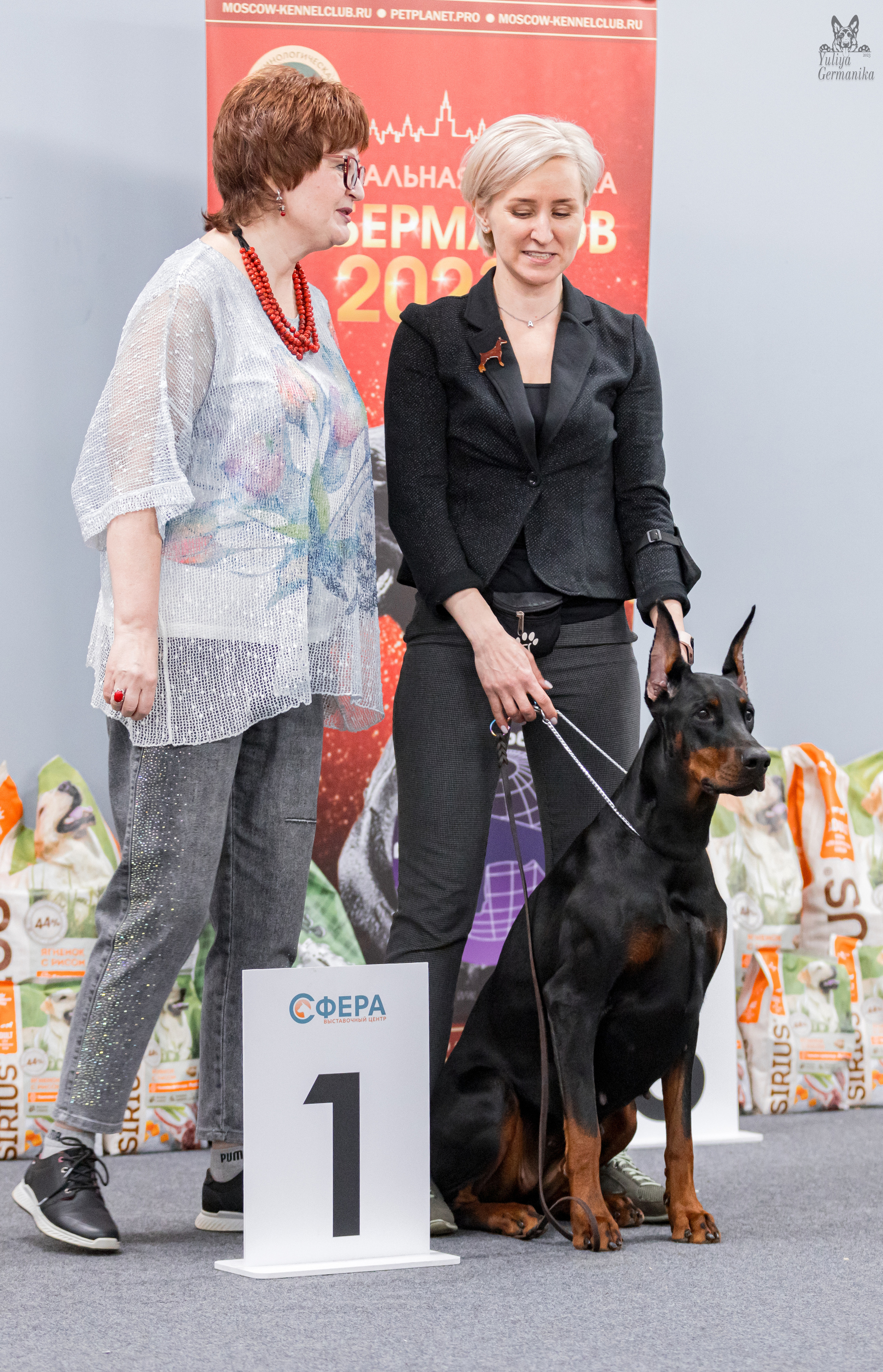 Сфера+доберманы 02.04.2023. Фотограф-анималист Юлия Германика
