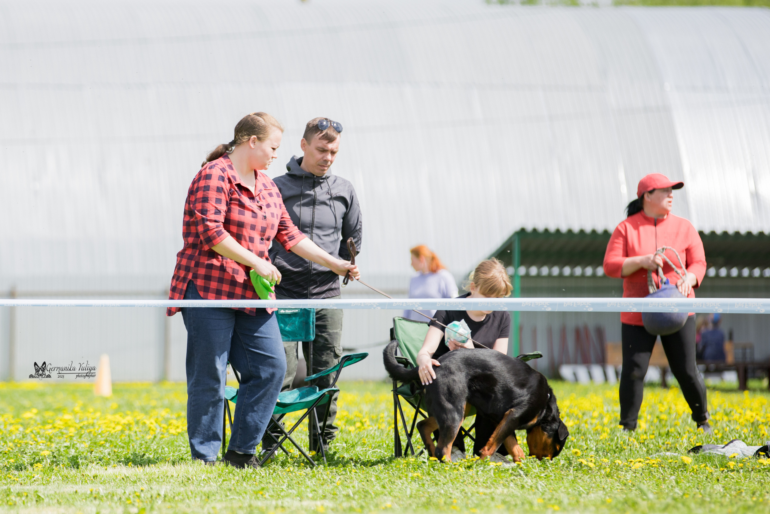 Нижний Новгород моно ротвейлеров 13.05.2023. Фотограф-анималист Юлия Германика
