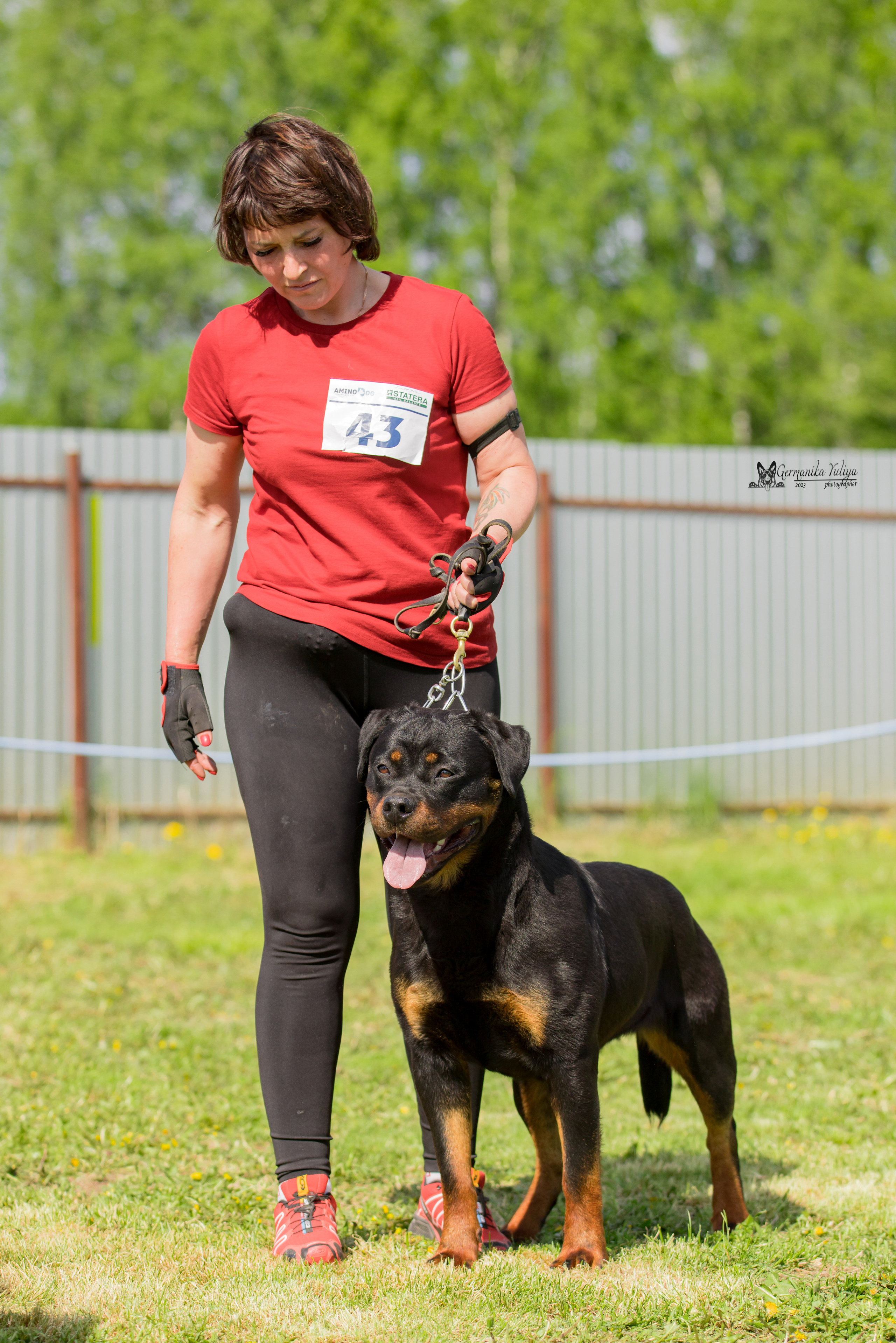 Нижний Новгород моно ротвейлеров 13.05.2023. Фотограф-анималист Юлия Германика