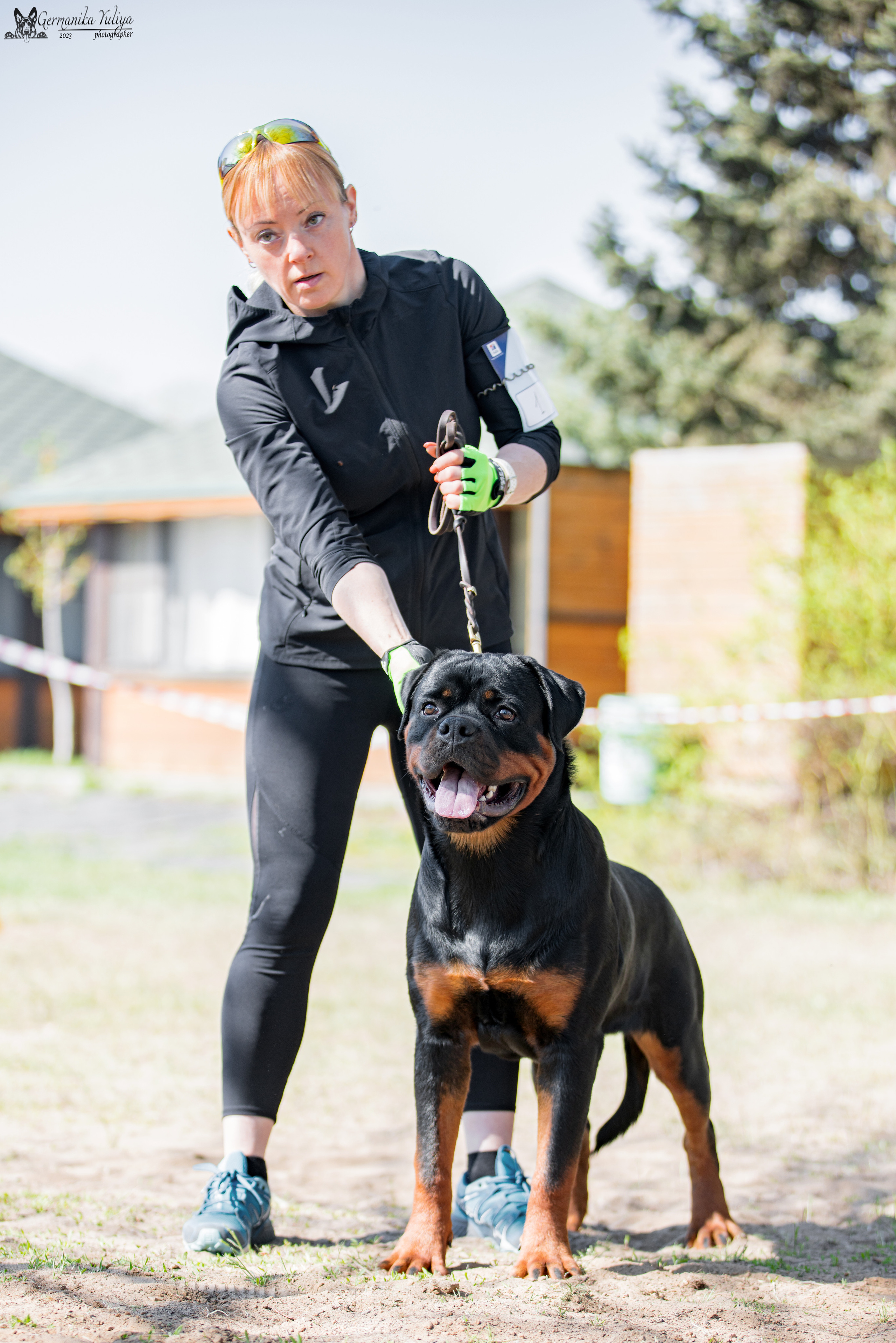 Саратов 2хмоно ротвейлеров 22-23.04.2023. Фотограф-анималист Юлия Германика