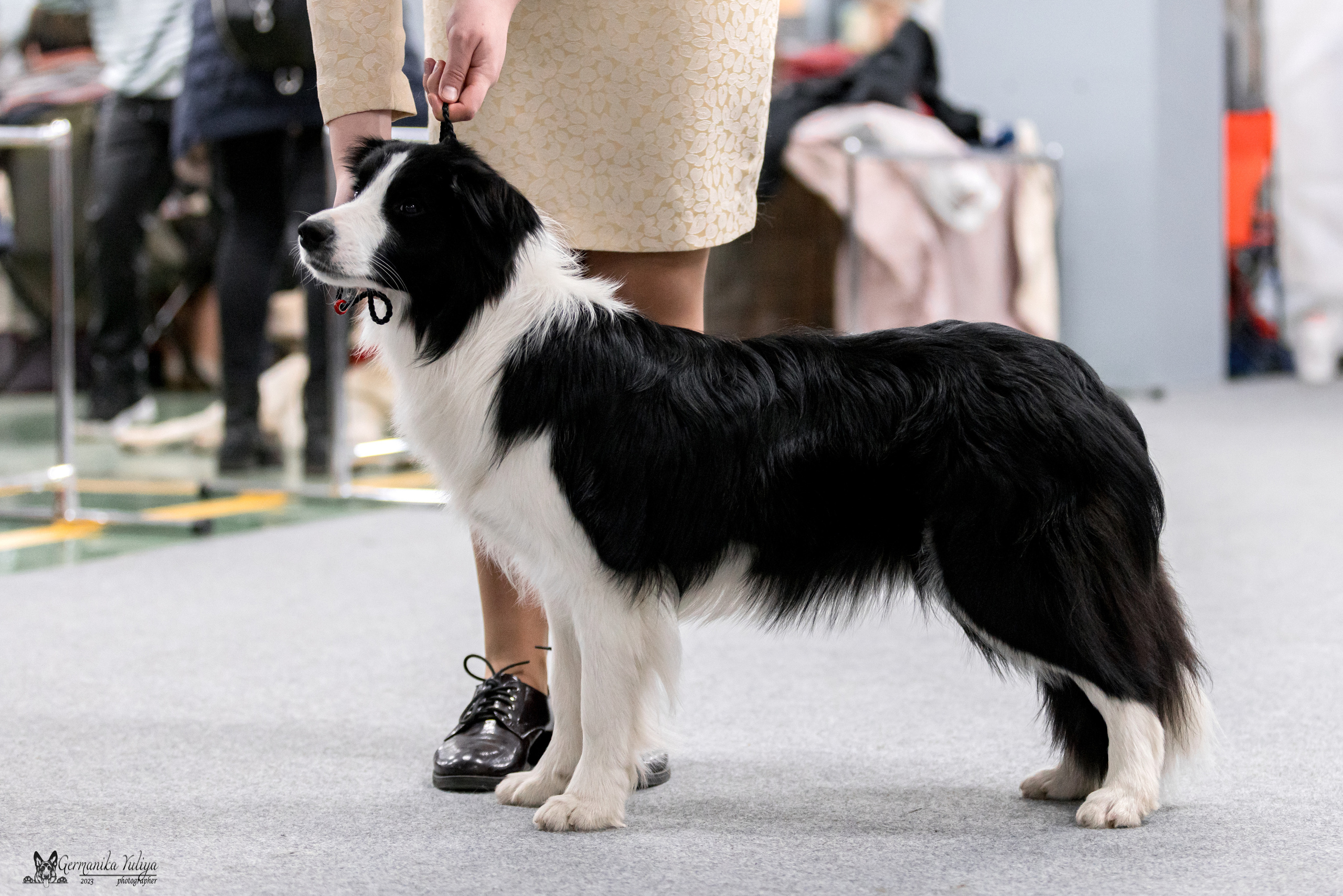 Сфера+МД 8-9.04.2023. Фотограф-анималист Юлия Германика