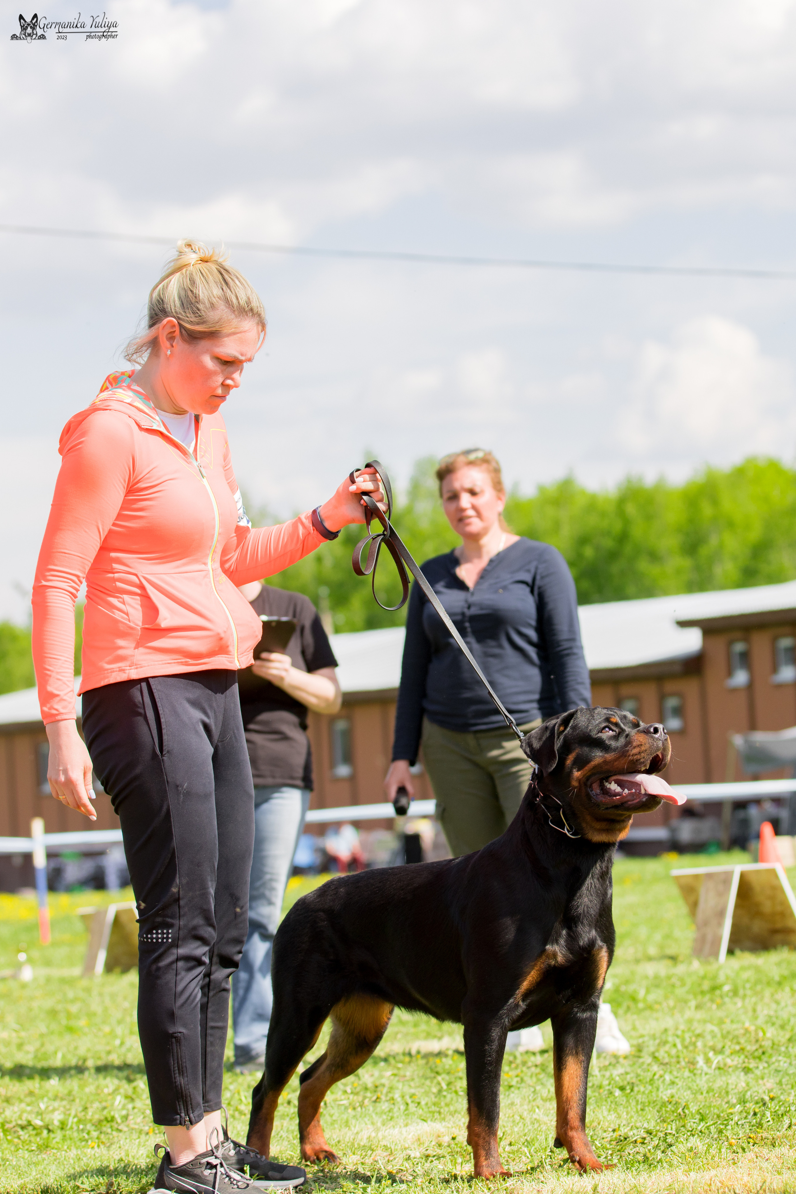 Нижний Новгород моно ротвейлеров 13.05.2023. Фотограф-анималист Юлия Германика
