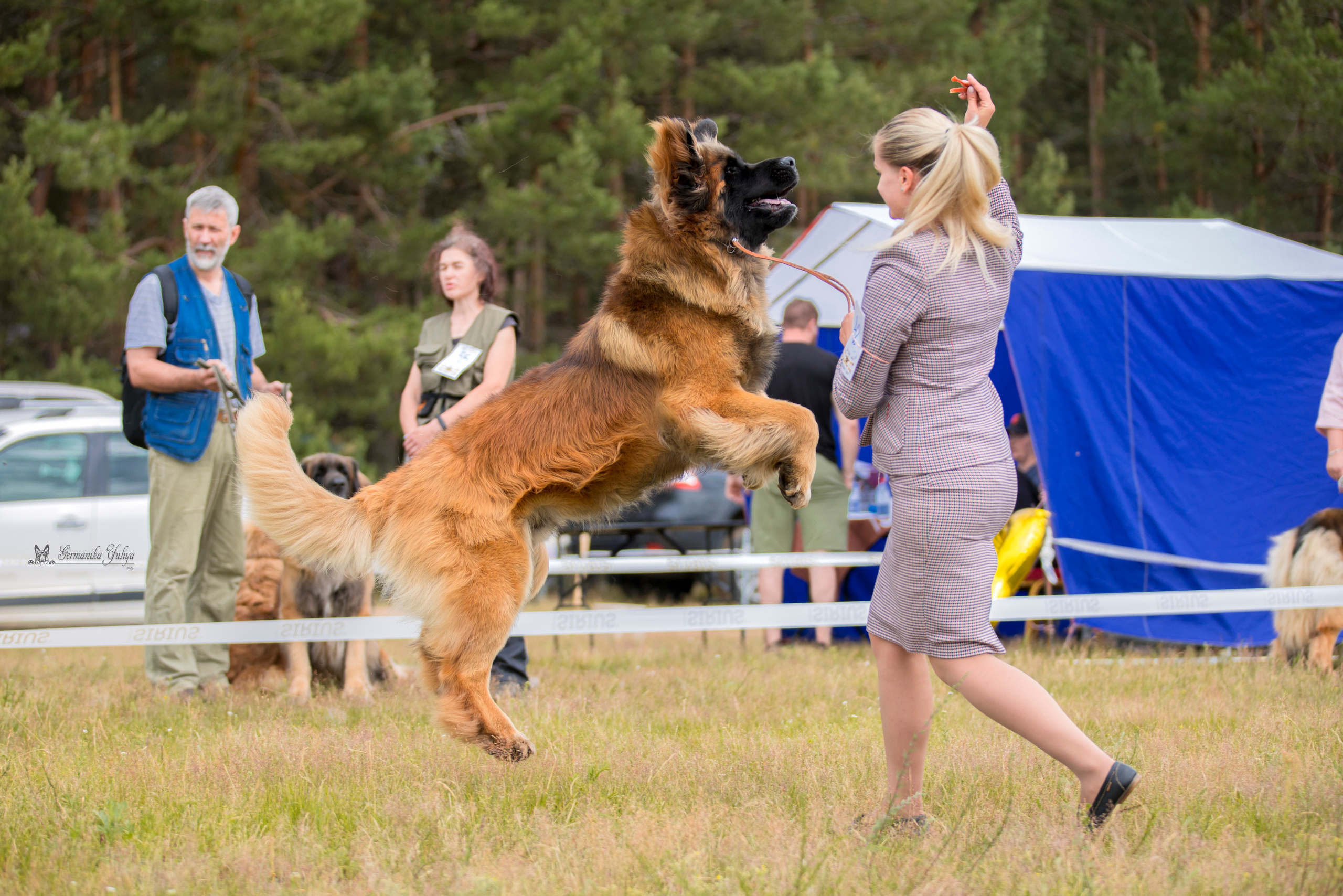 Волжанка 8.07.2023. Фотограф-анималист Юлия Германика