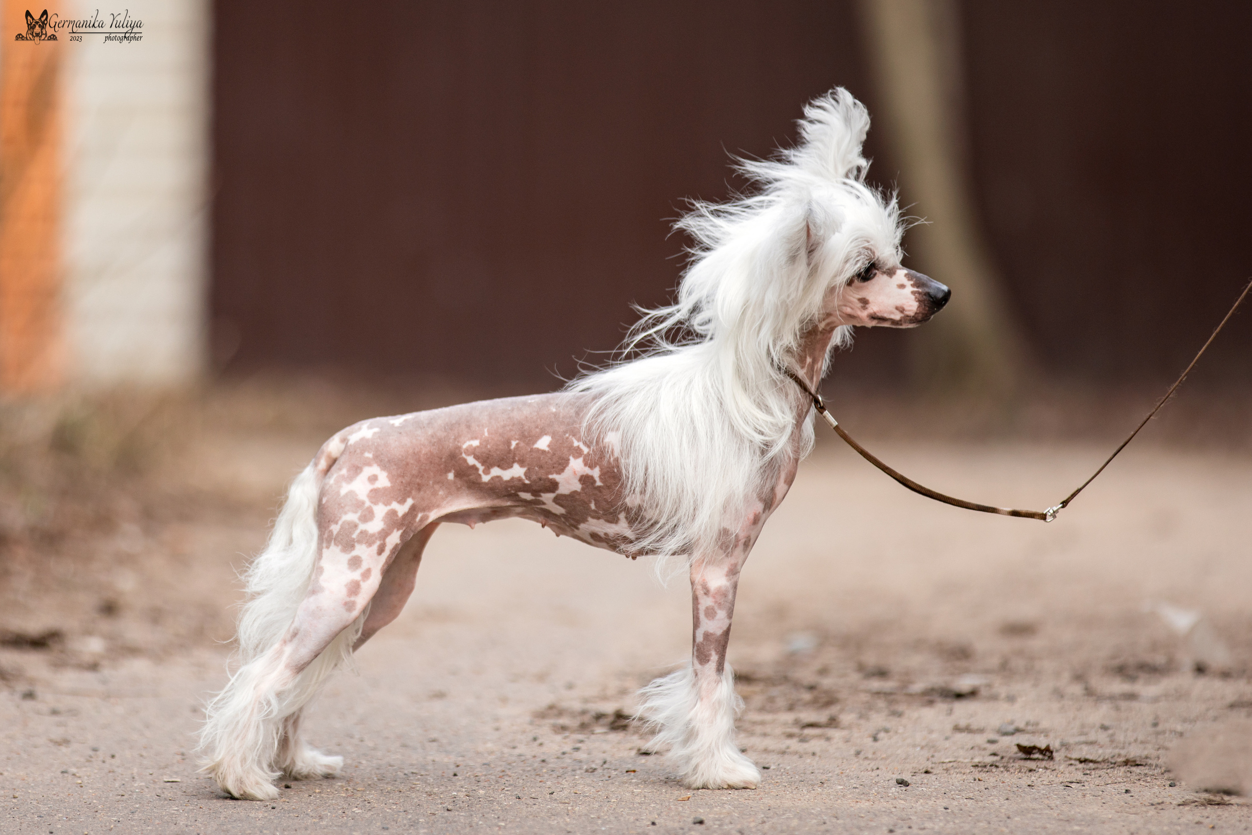 Сфера+МД 8-9.04.2023. Фотограф-анималист Юлия Германика