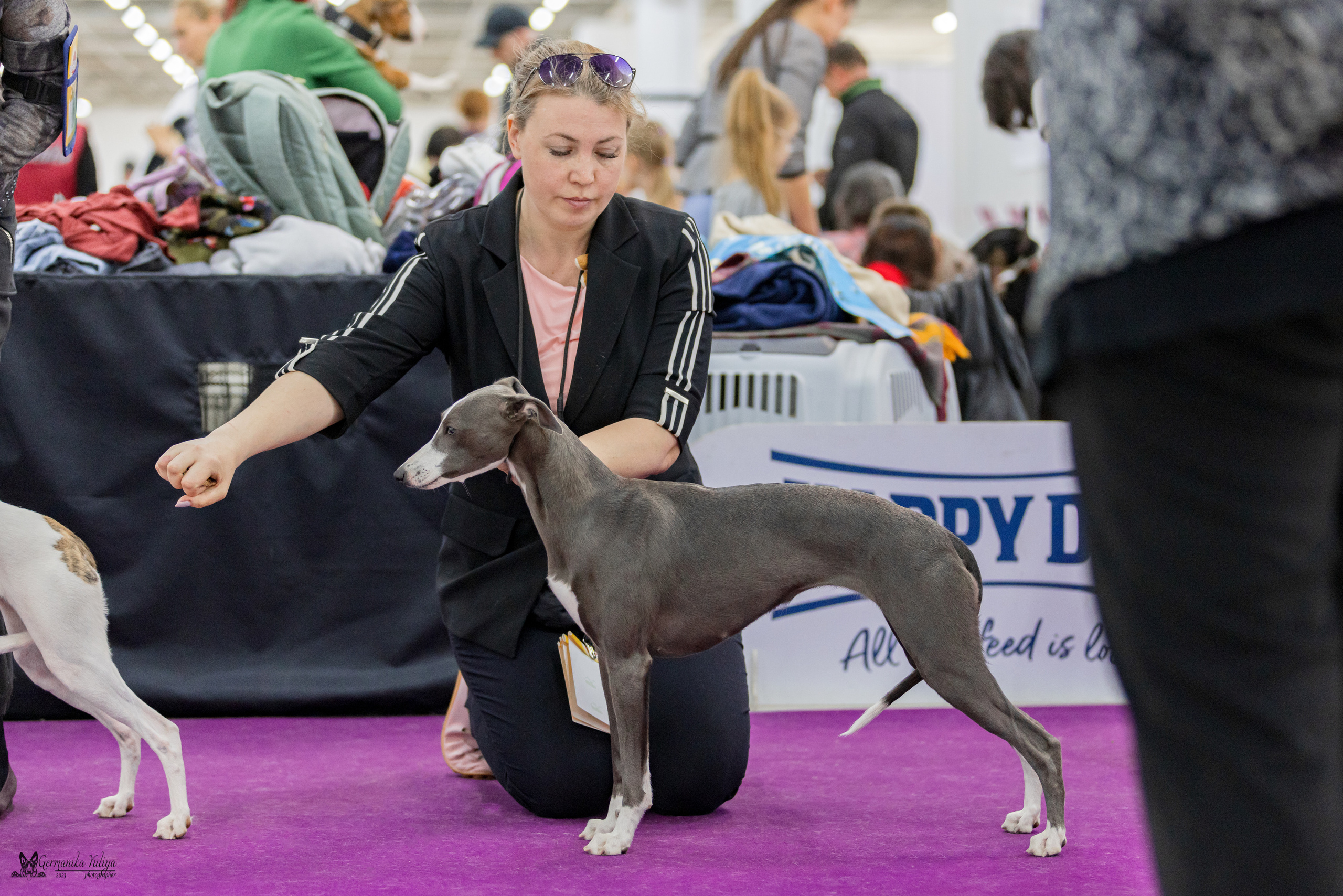Сфера+МД 8-9.04.2023. Фотограф-анималист Юлия Германика