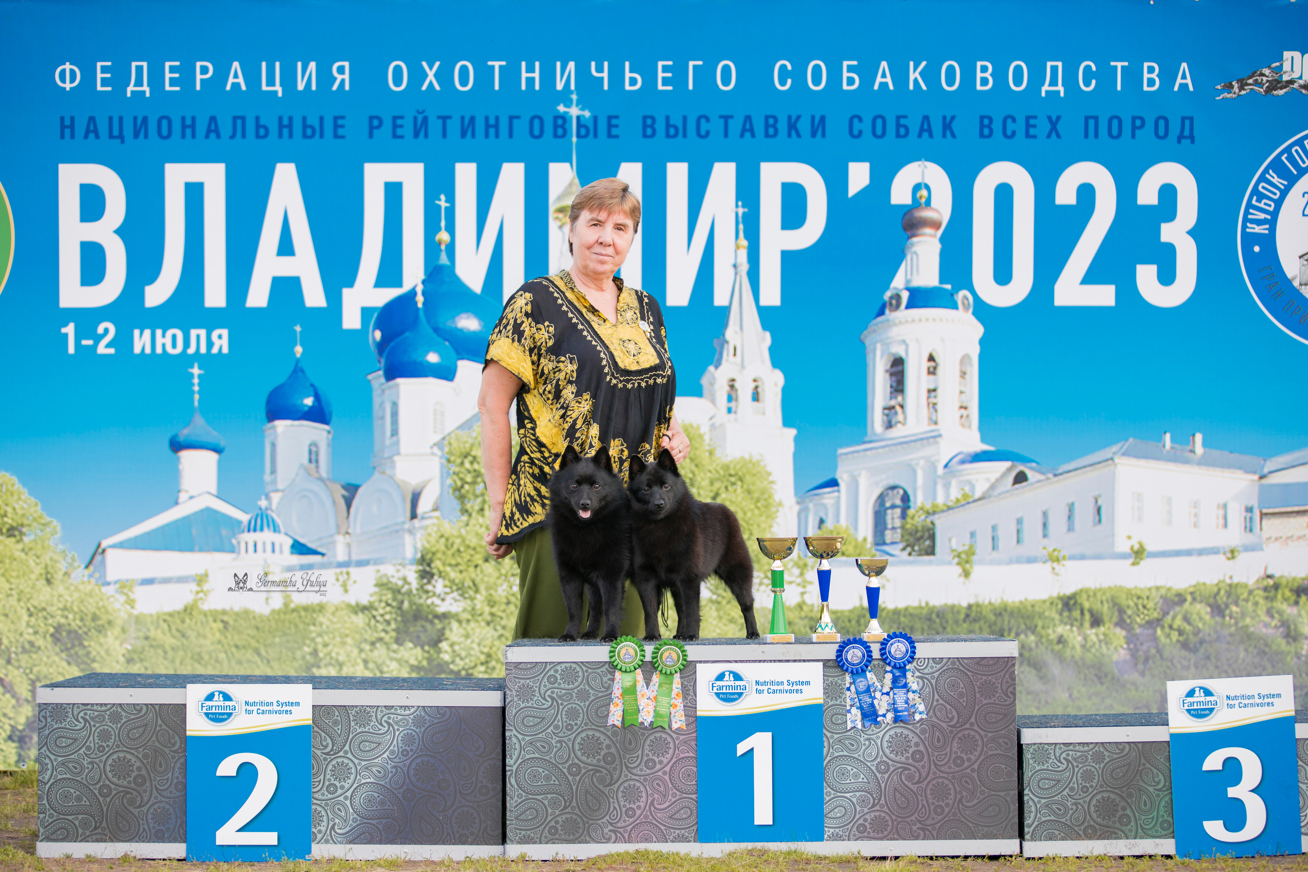 Владимир 1-2.07.2023. Фотограф-анималист Юлия Германика