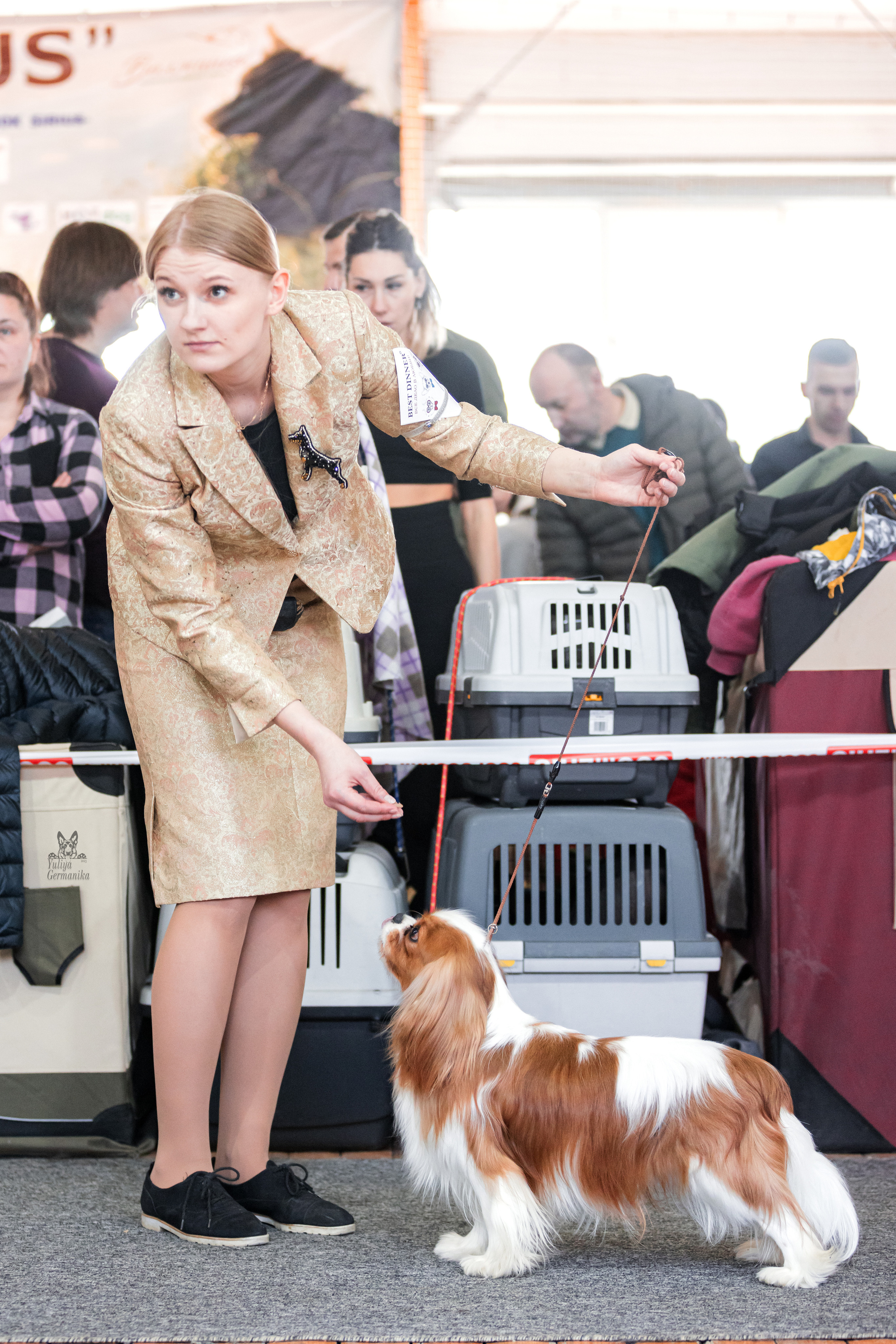 Тверь 01.04.2023. Фотограф-анималист Юлия Германика