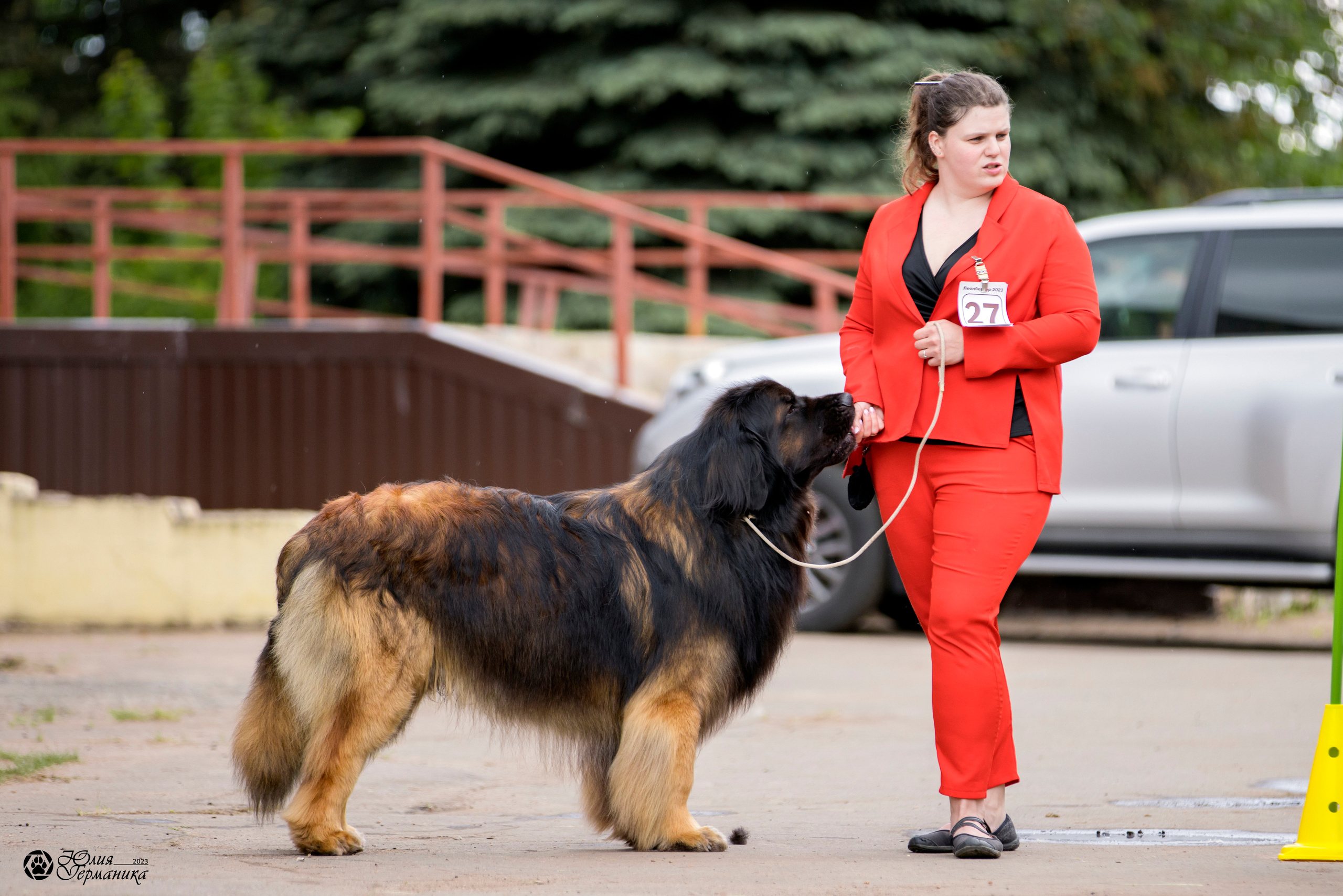 Националка Леонбергеров 28.05.2023. Фотограф-анималист Юлия Германика