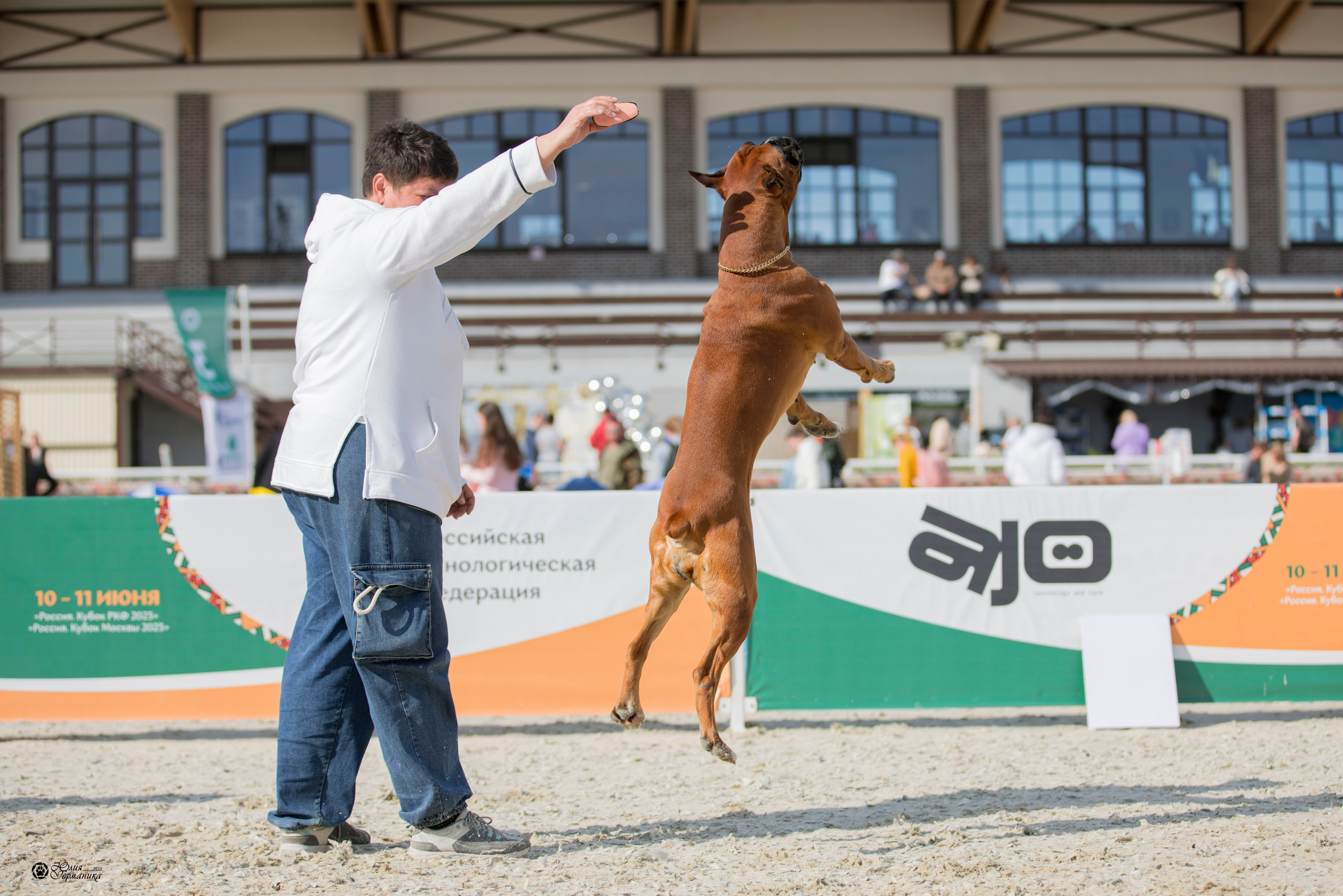 Россия 10-11.06.2023. Фотограф-анималист Юлия Германика