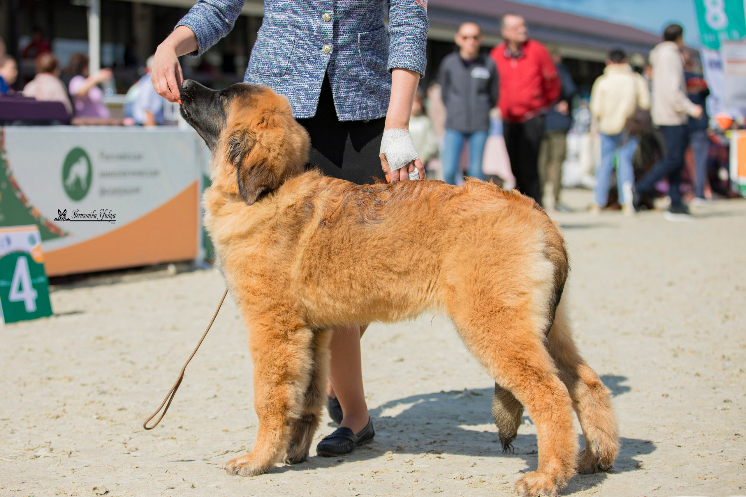Россия 10-11.06.2023. Фотограф-анималист Юлия Германика