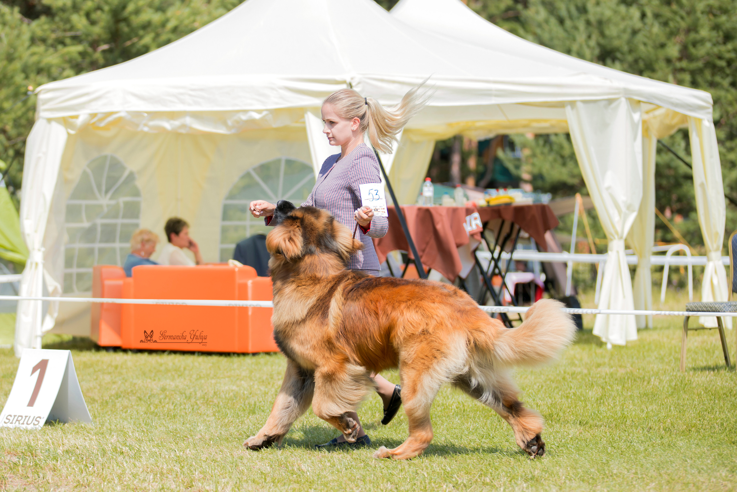 Волжанка 8.07.2023. Фотограф-анималист Юлия Германика