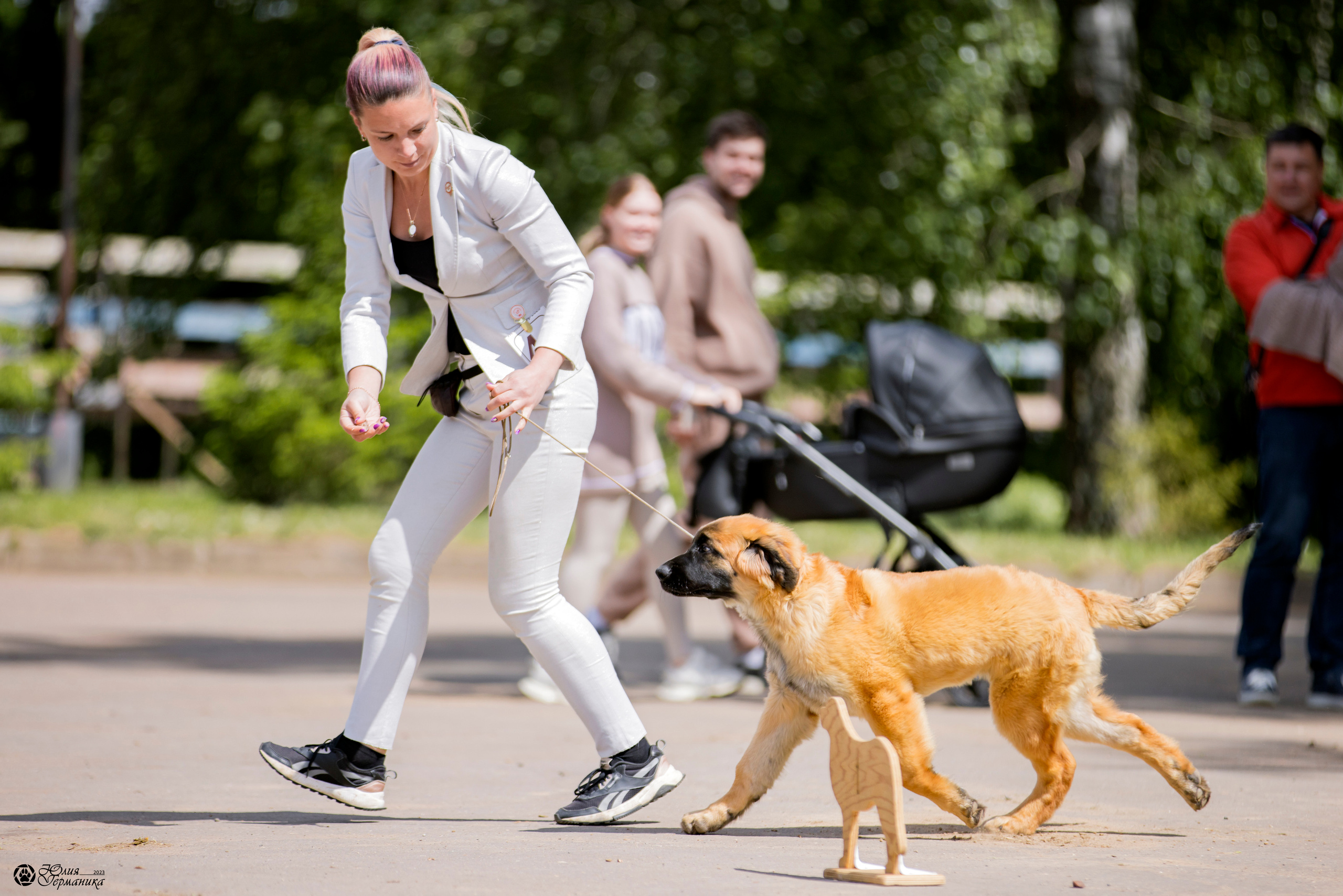Националка Леонбергеров 28.05.2023. Фотограф-анималист Юлия Германика