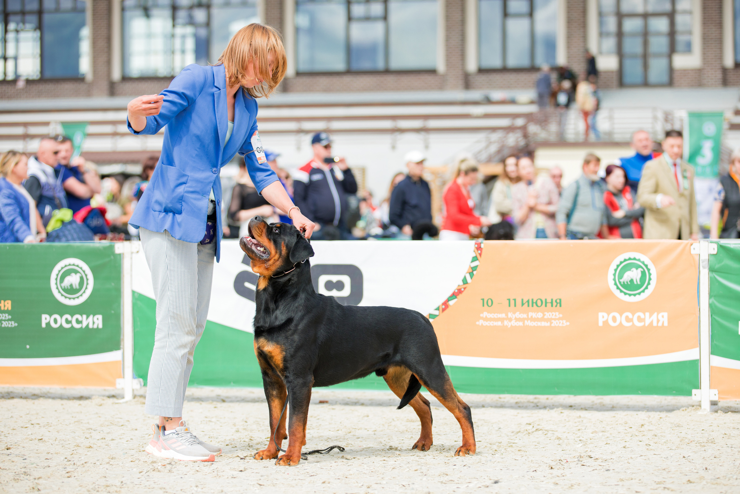 Россия 10-11.06.2023. Фотограф-анималист Юлия Германика