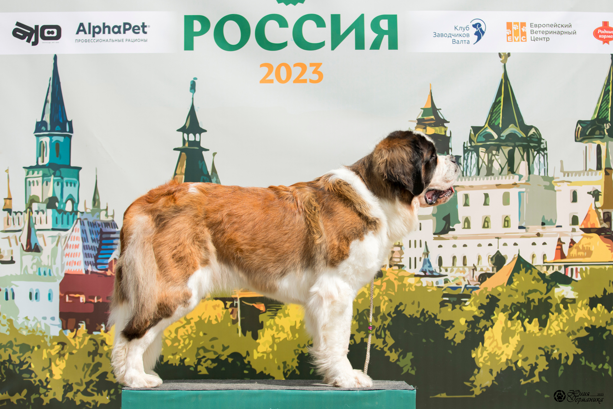 Россия 10-11.06.2023. Фотограф-анималист Юлия Германика