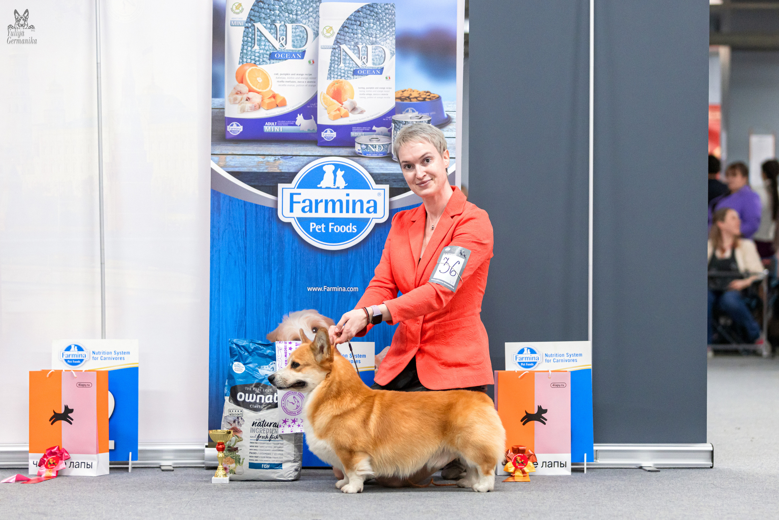 Сфера+доберманы 02.04.2023. Фотограф-анималист Юлия Германика