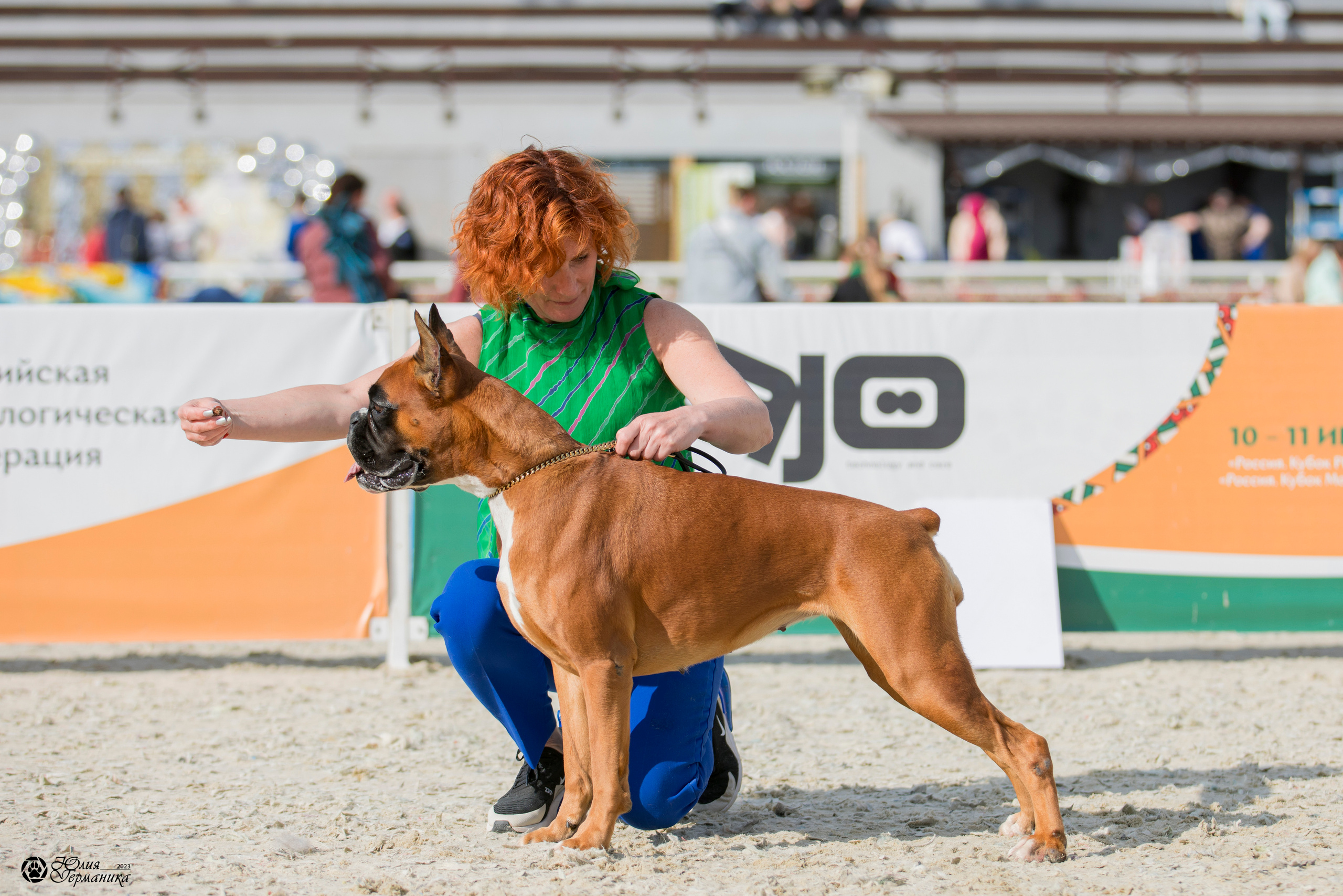 Россия 10-11.06.2023. Фотограф-анималист Юлия Германика