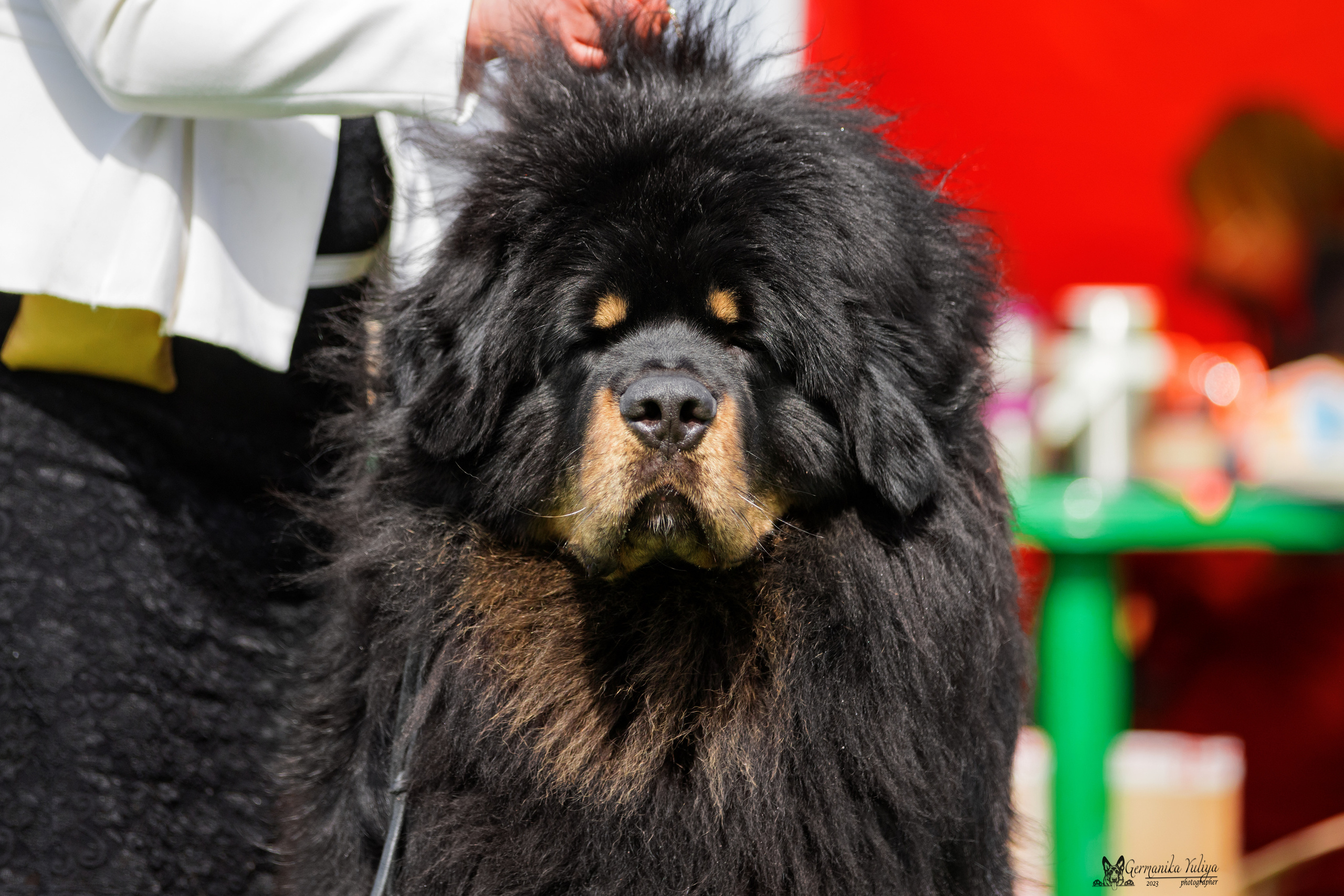 Суздаль 6-7.05.2023