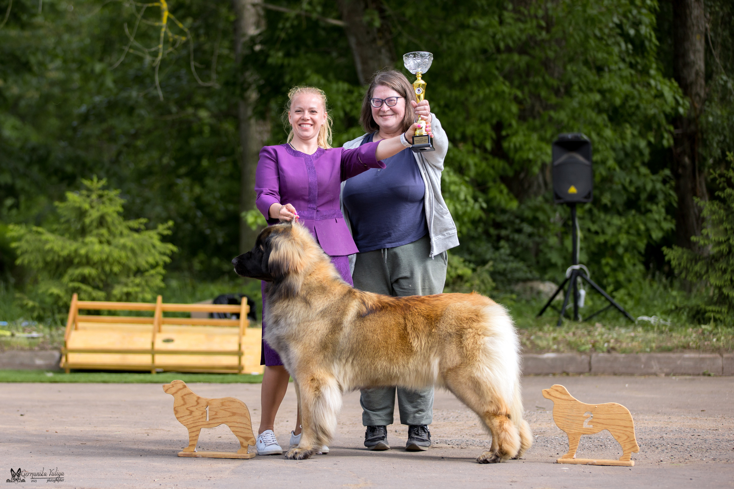 Националка Леонбергеров 28.05.2023. Фотограф-анималист Юлия Германика