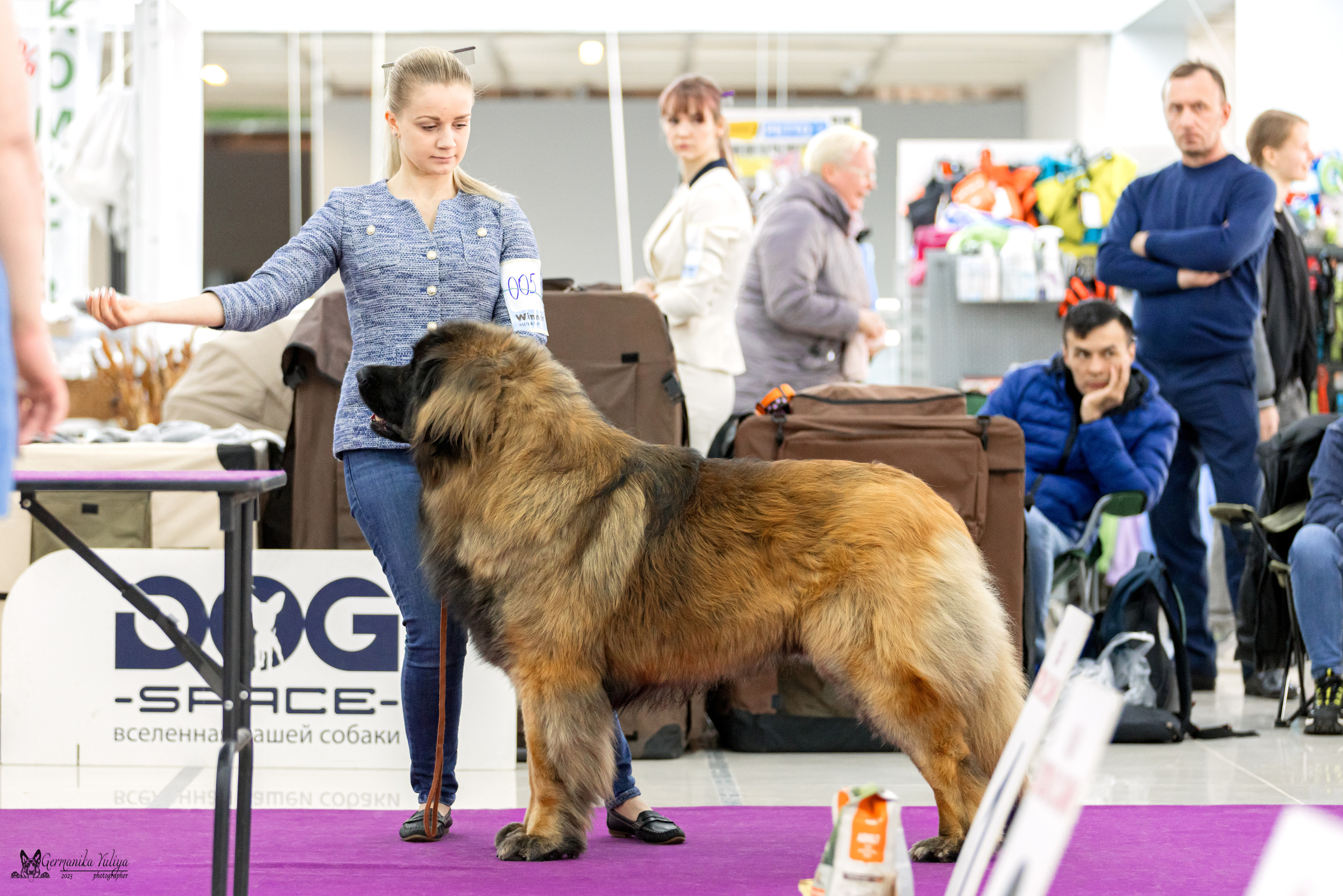 МД 15.04.2023. Фотограф-анималист Юлия Германика