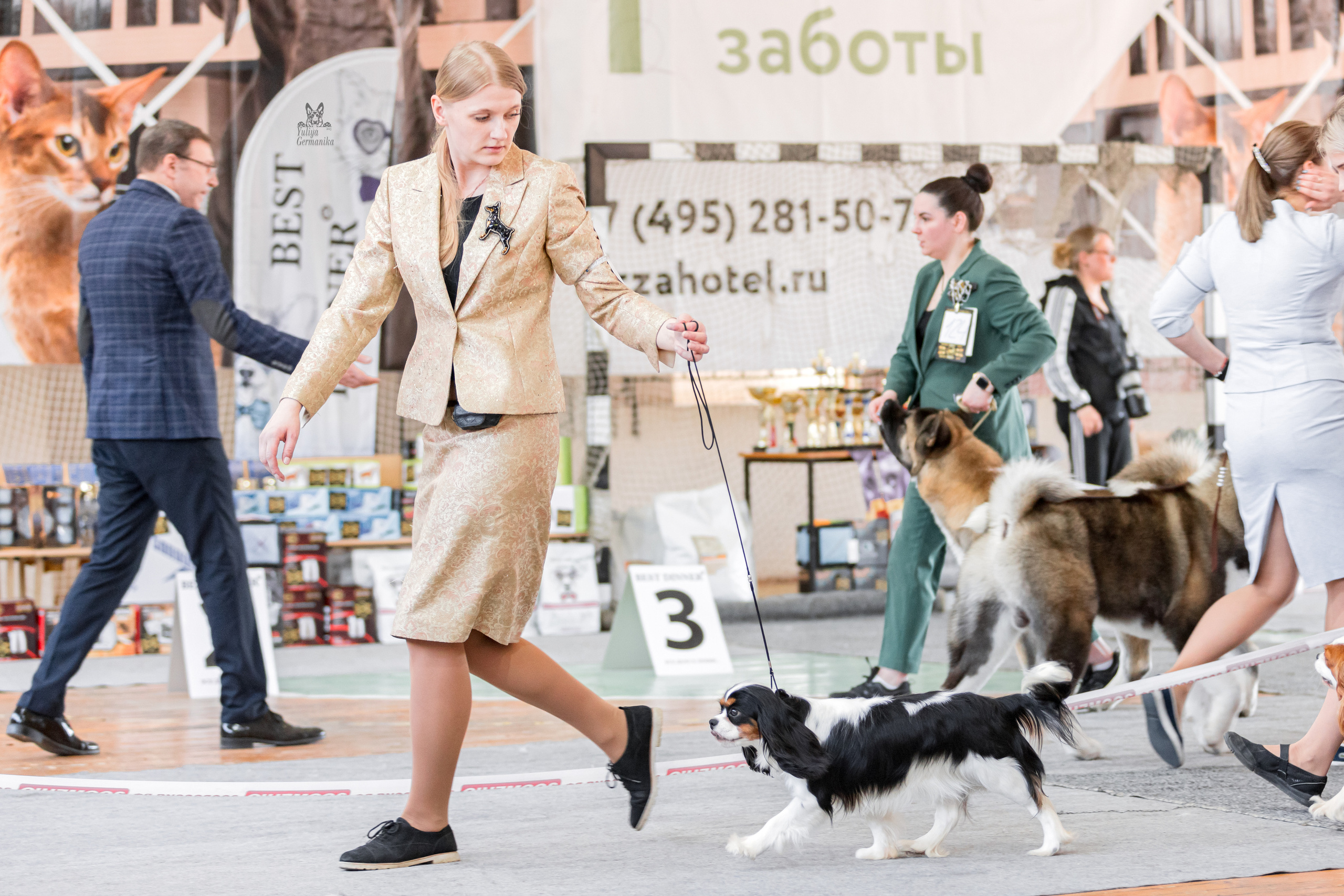 Тверь 01.04.2023. Фотограф-анималист Юлия Германика