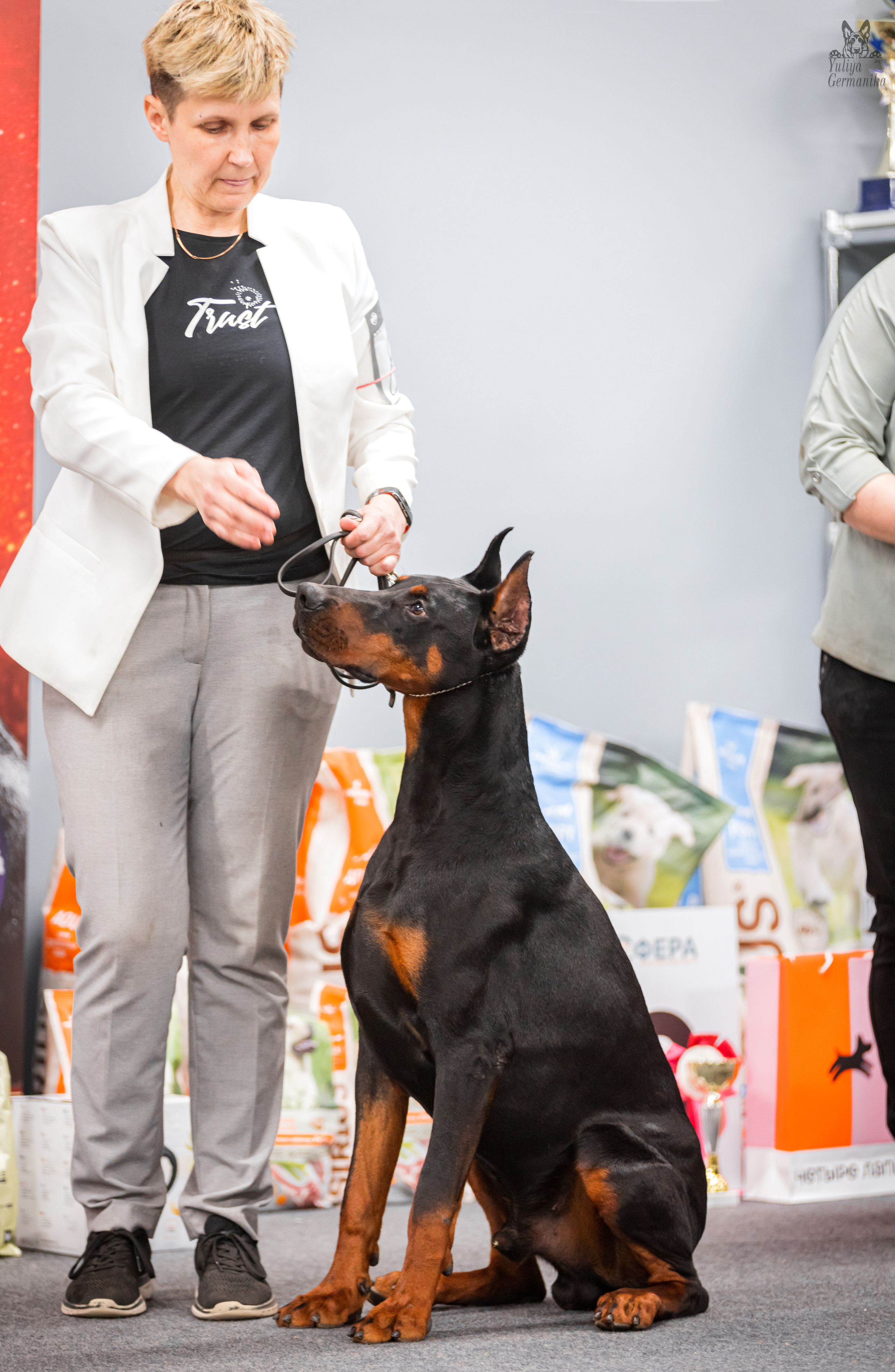 Сфера+доберманы 02.04.2023. Фотограф-анималист Юлия Германика