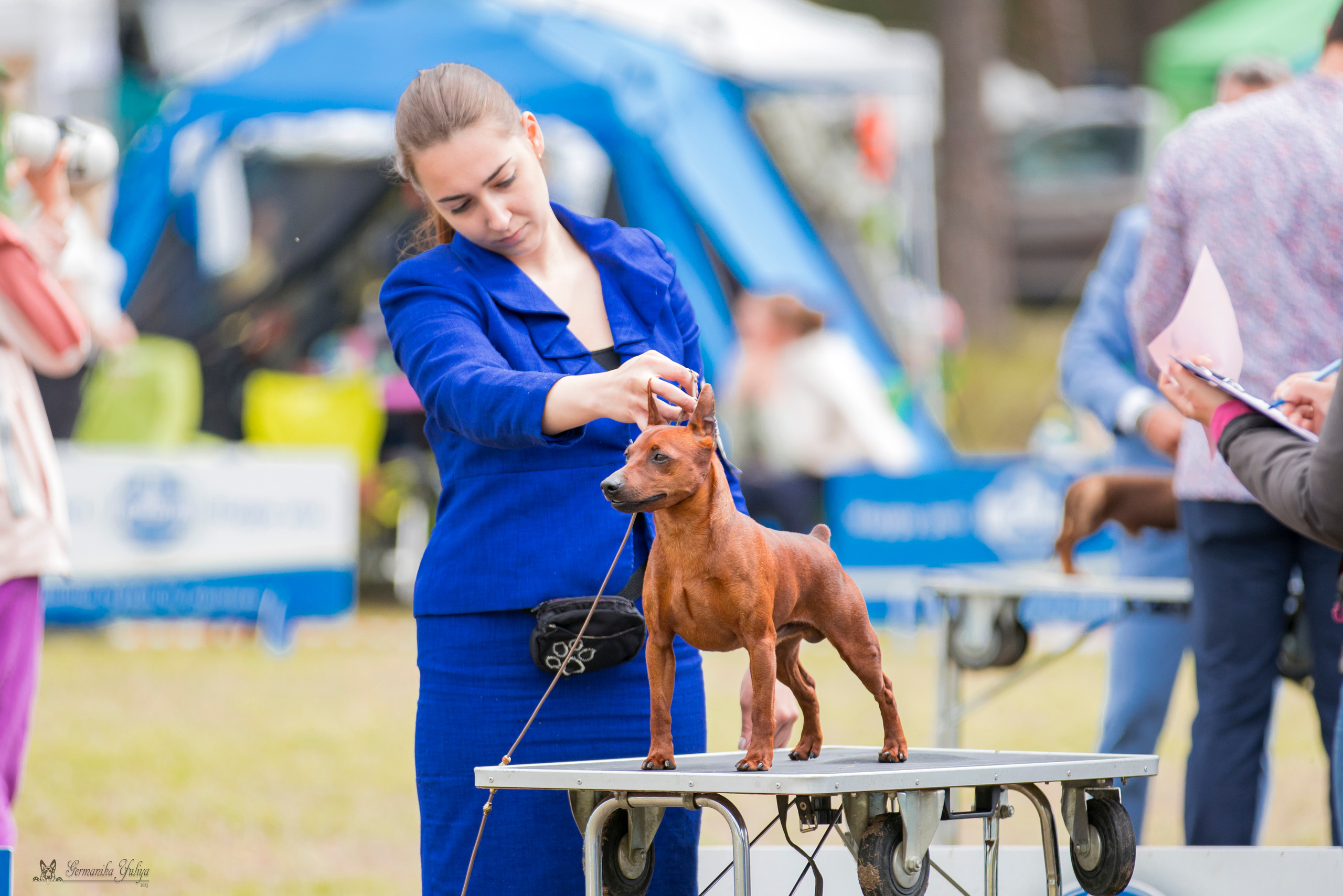 Владимир 1-2.07.2023. Фотограф-анималист Юлия Германика