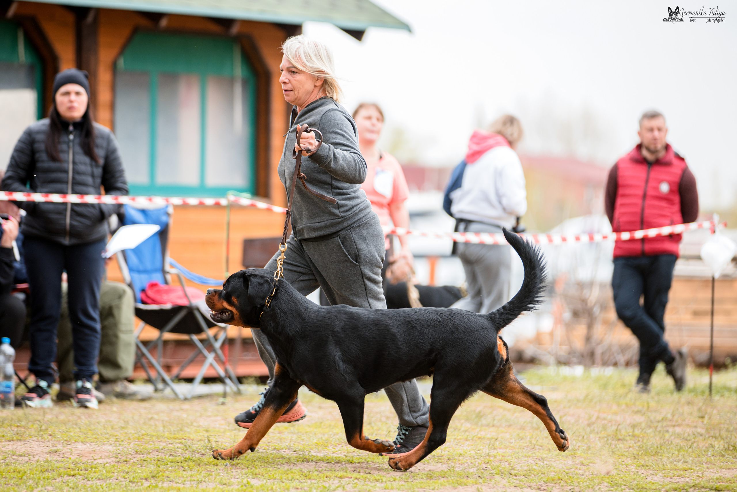 Саратов 2хмоно ротвейлеров 22-23.04.2023. Фотограф-анималист Юлия Германика