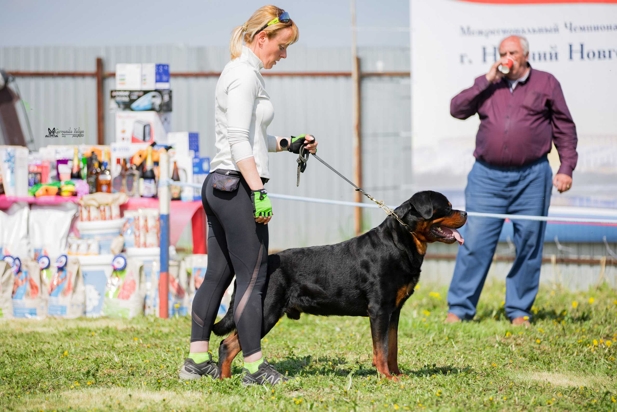 Нижний Новгород моно ротвейлеров 13.05.2023. Фотограф-анималист Юлия Германика