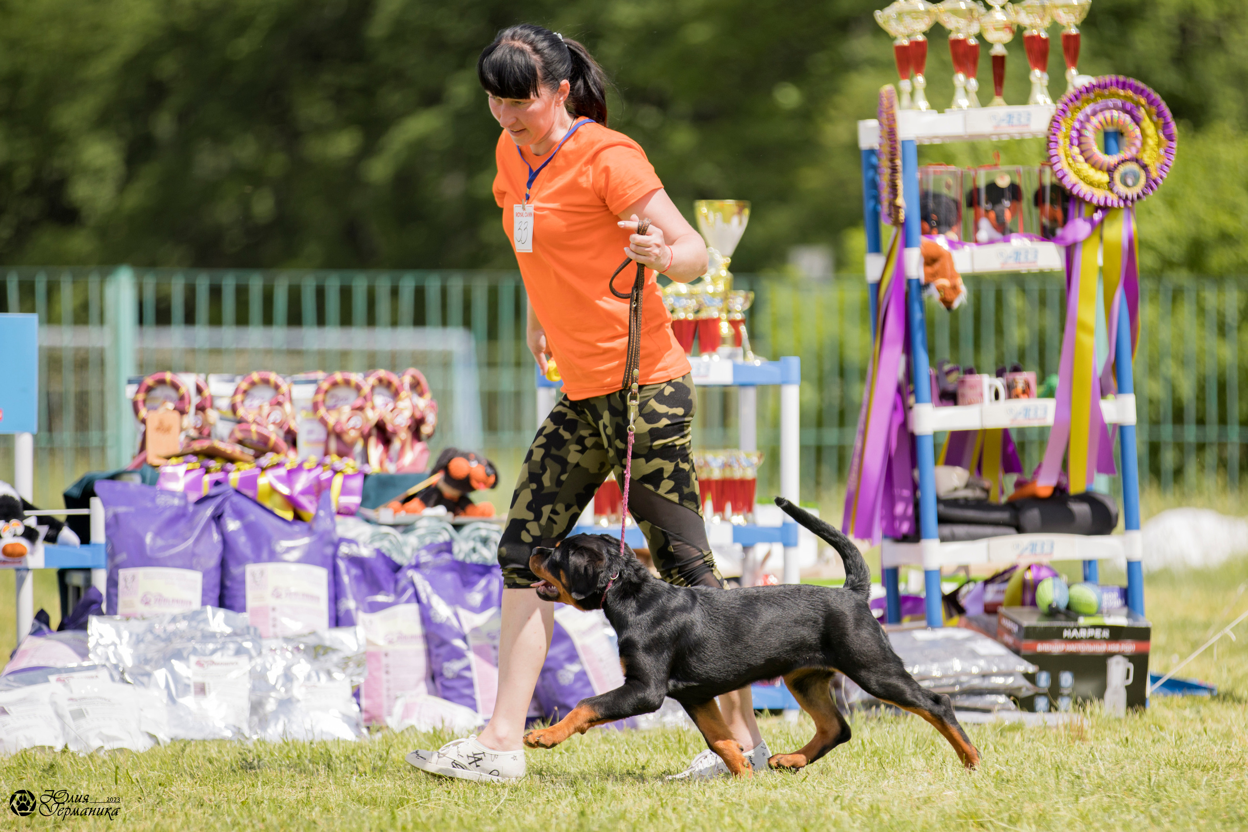 Воронеж 2хмоно ротвейлеров 3-4.06.2023. Фотограф-анималист Юлия Германика