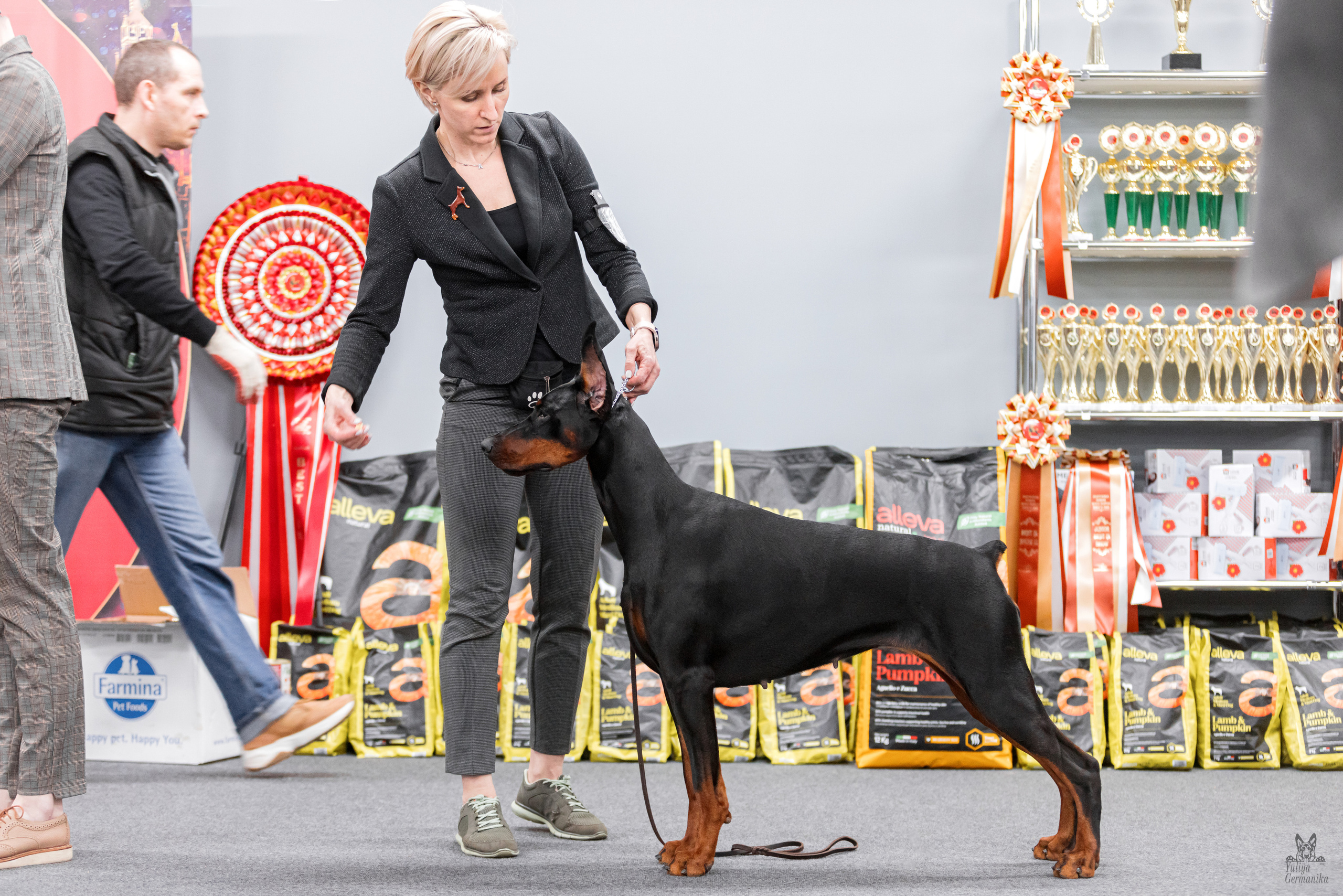 Сфера+доберманы 02.04.2023. Фотограф-анималист Юлия Германика