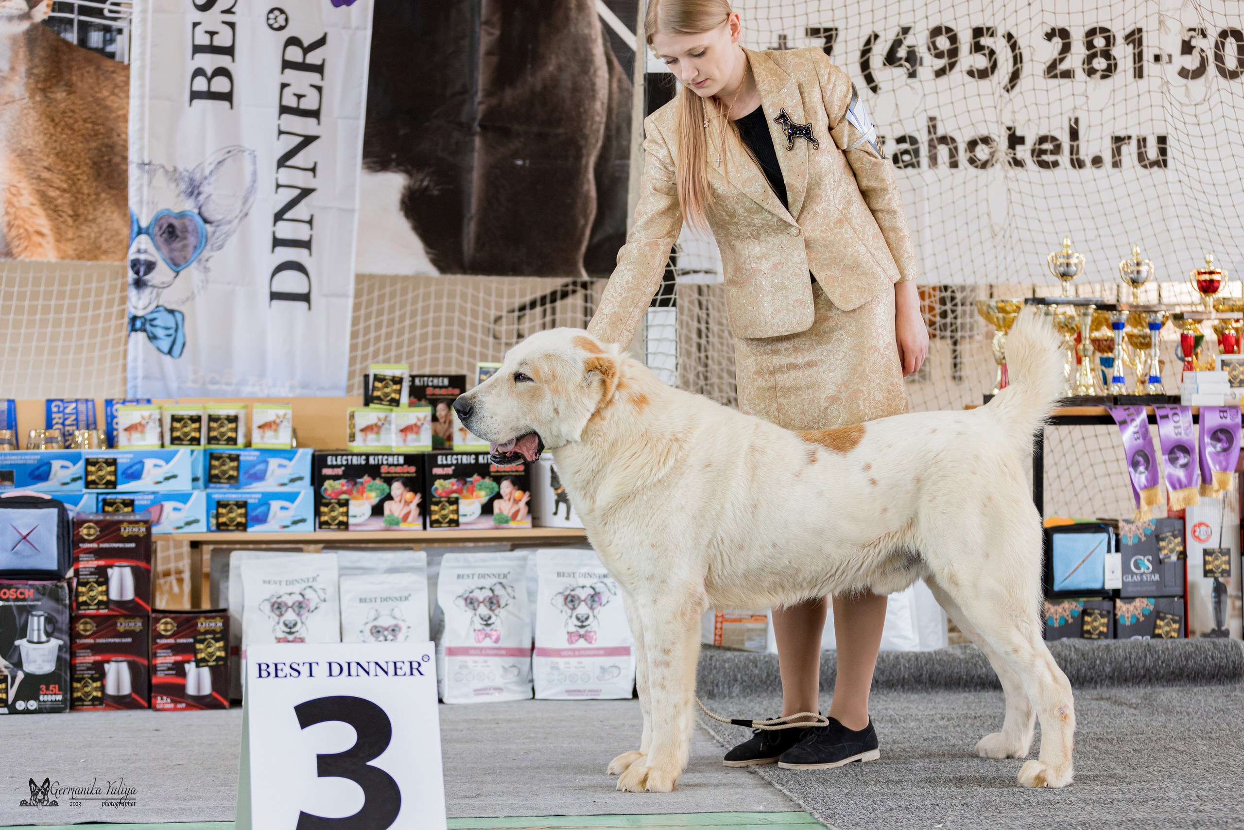 Тверь 01.04.2023. Фотограф-анималист Юлия Германика