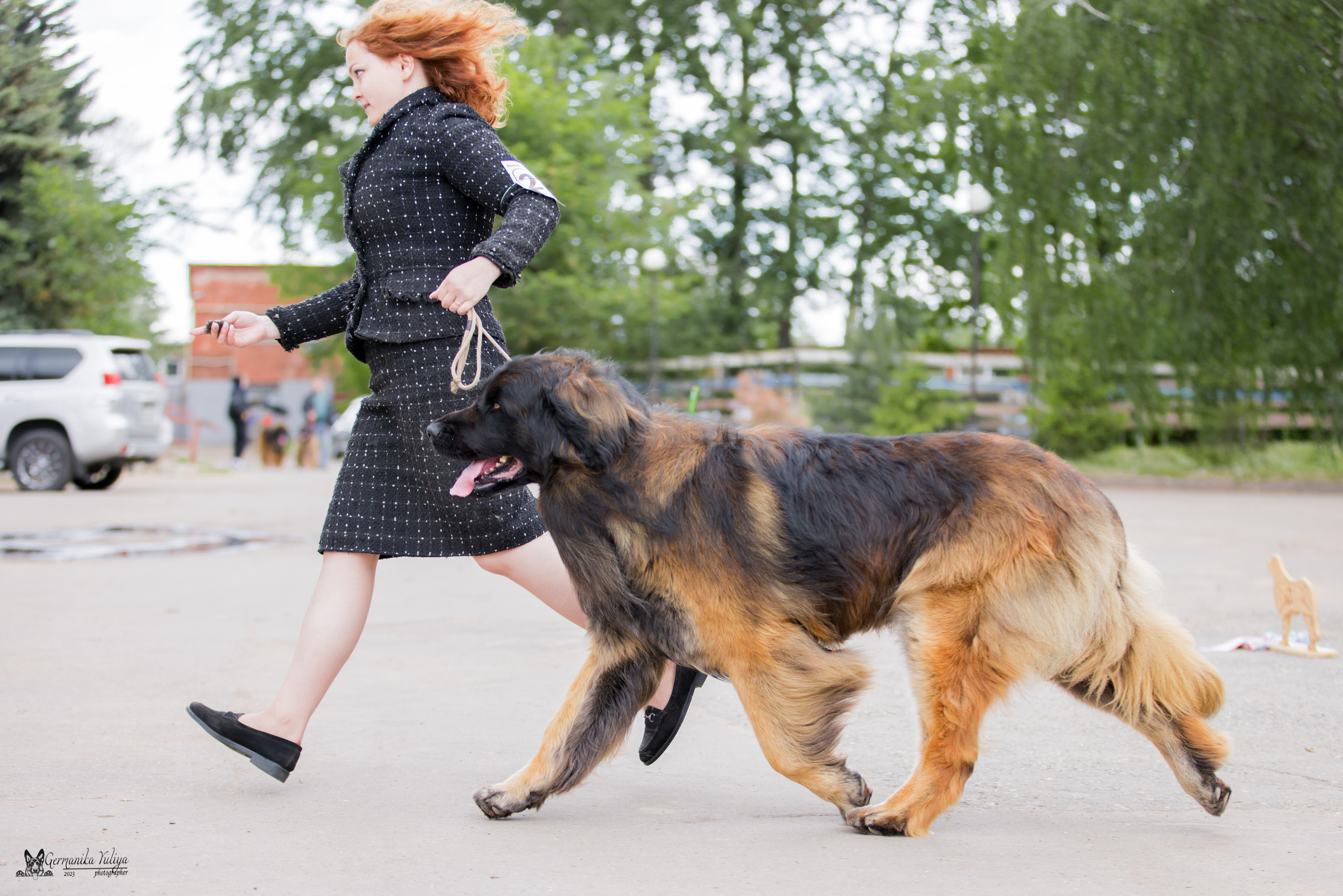 Националка Леонбергеров 28.05.2023. Фотограф-анималист Юлия Германика