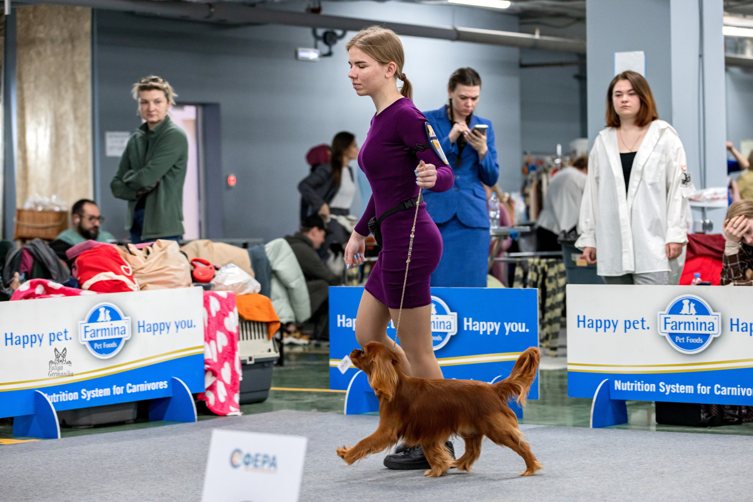 Сфера 25-26.03.2023. Фотограф-анималист Юлия Германика