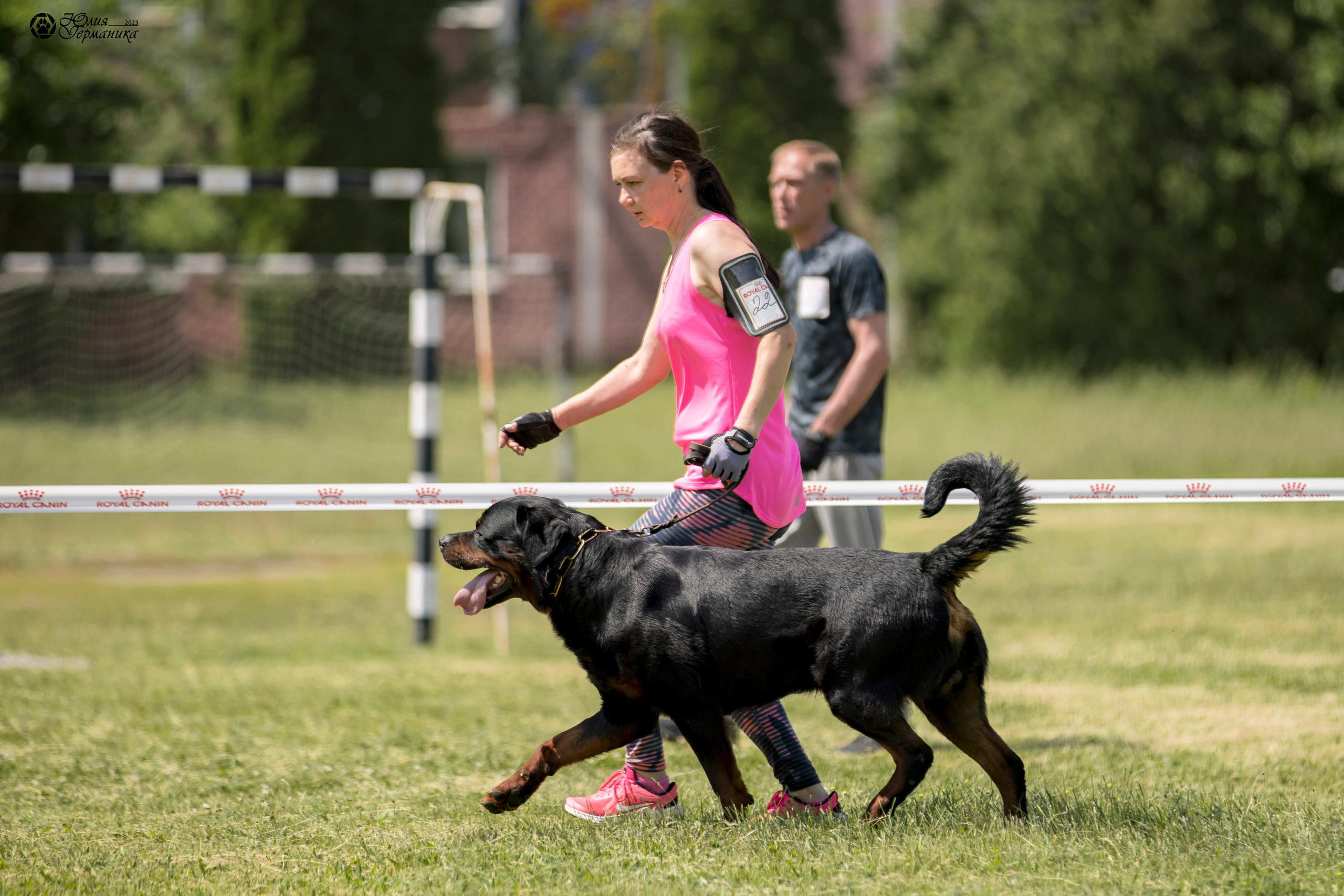 Воронеж 2хмоно ротвейлеров 3-4.06.2023. Фотограф-анималист Юлия Германика
