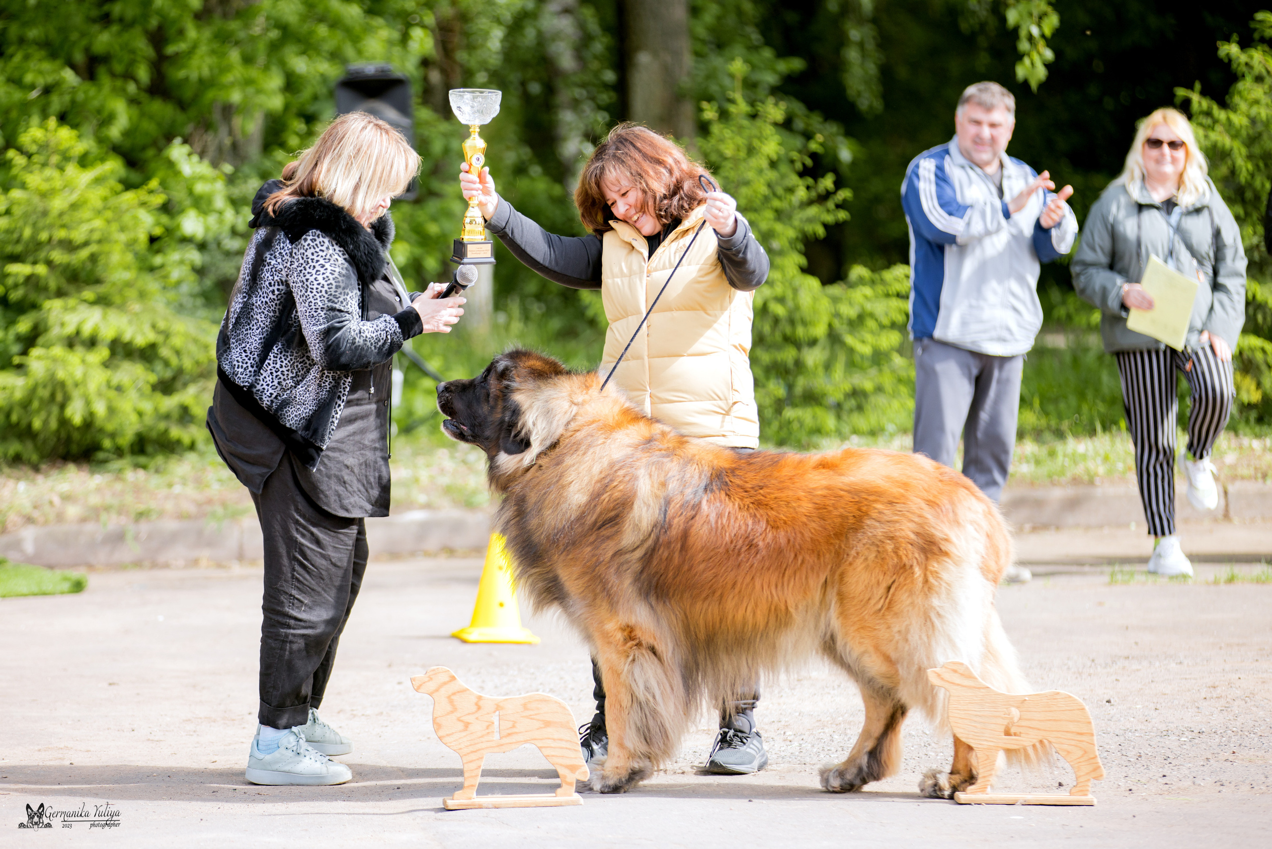 Националка Леонбергеров 28.05.2023. Фотограф-анималист Юлия Германика