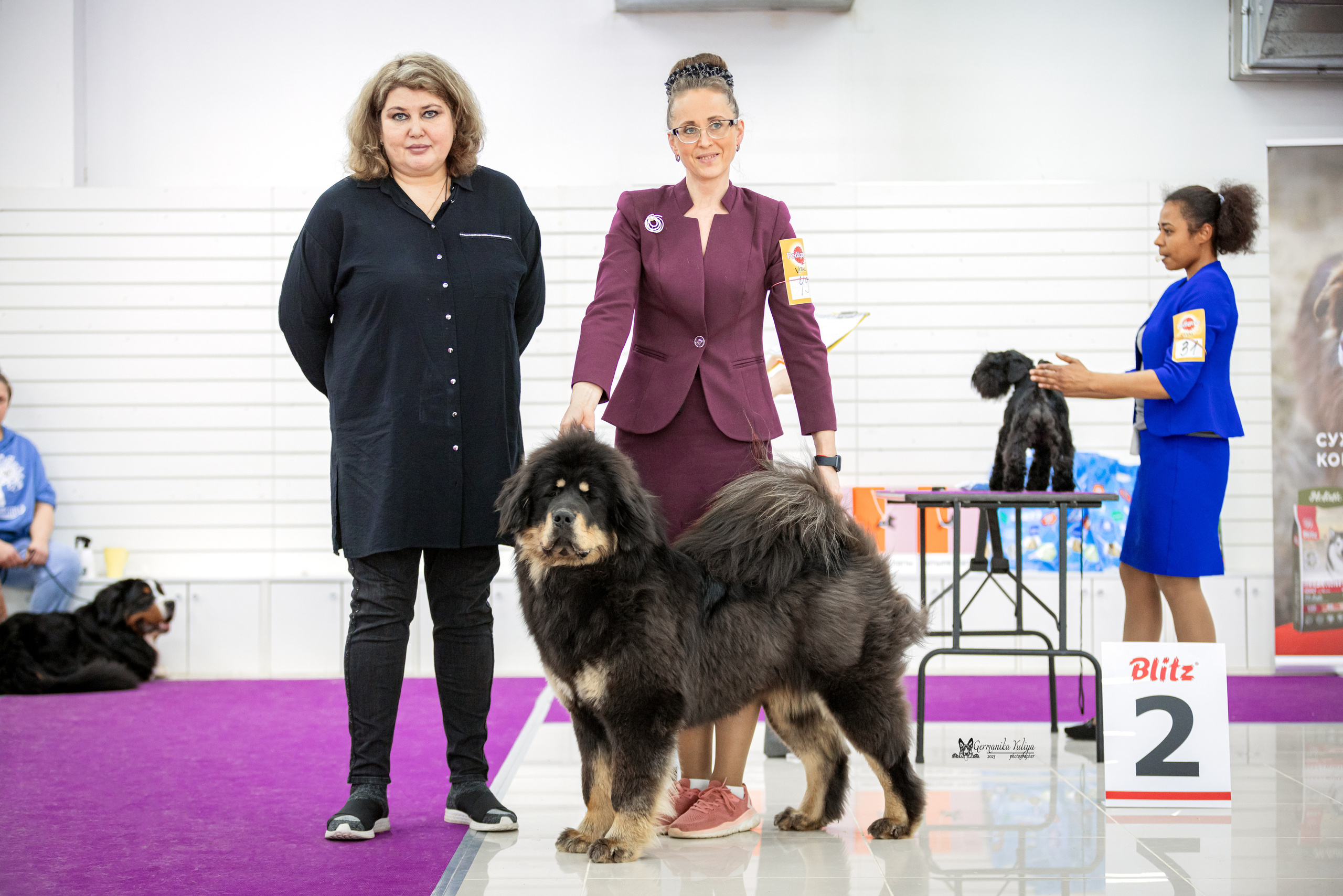 Сфера+МД 8-9.04.2023. Фотограф-анималист Юлия Германика